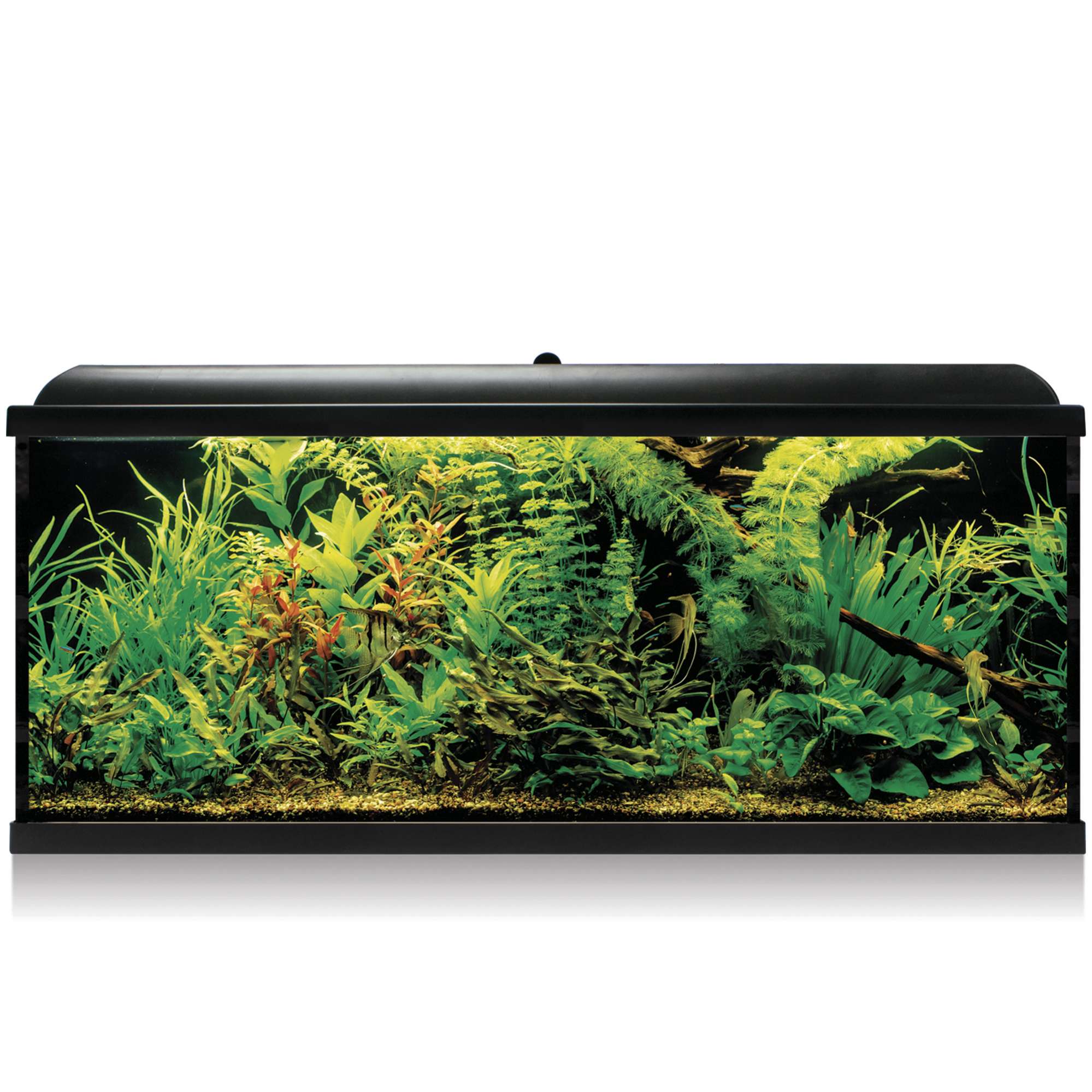 Kit AQUA LED PRO 240 negro con filtro exterior
