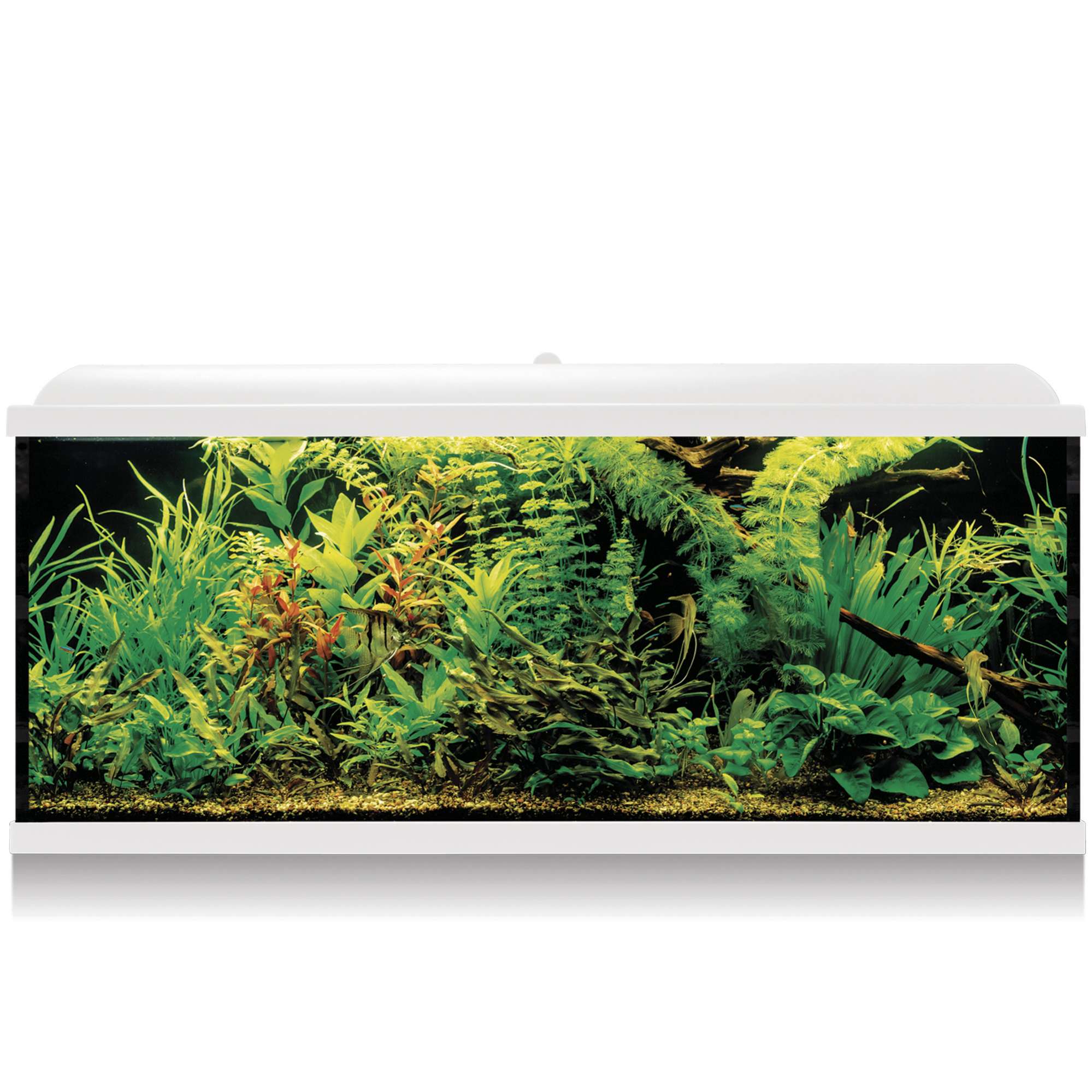 Kit AQUA LED PRO 240 blanco con filtro exterior