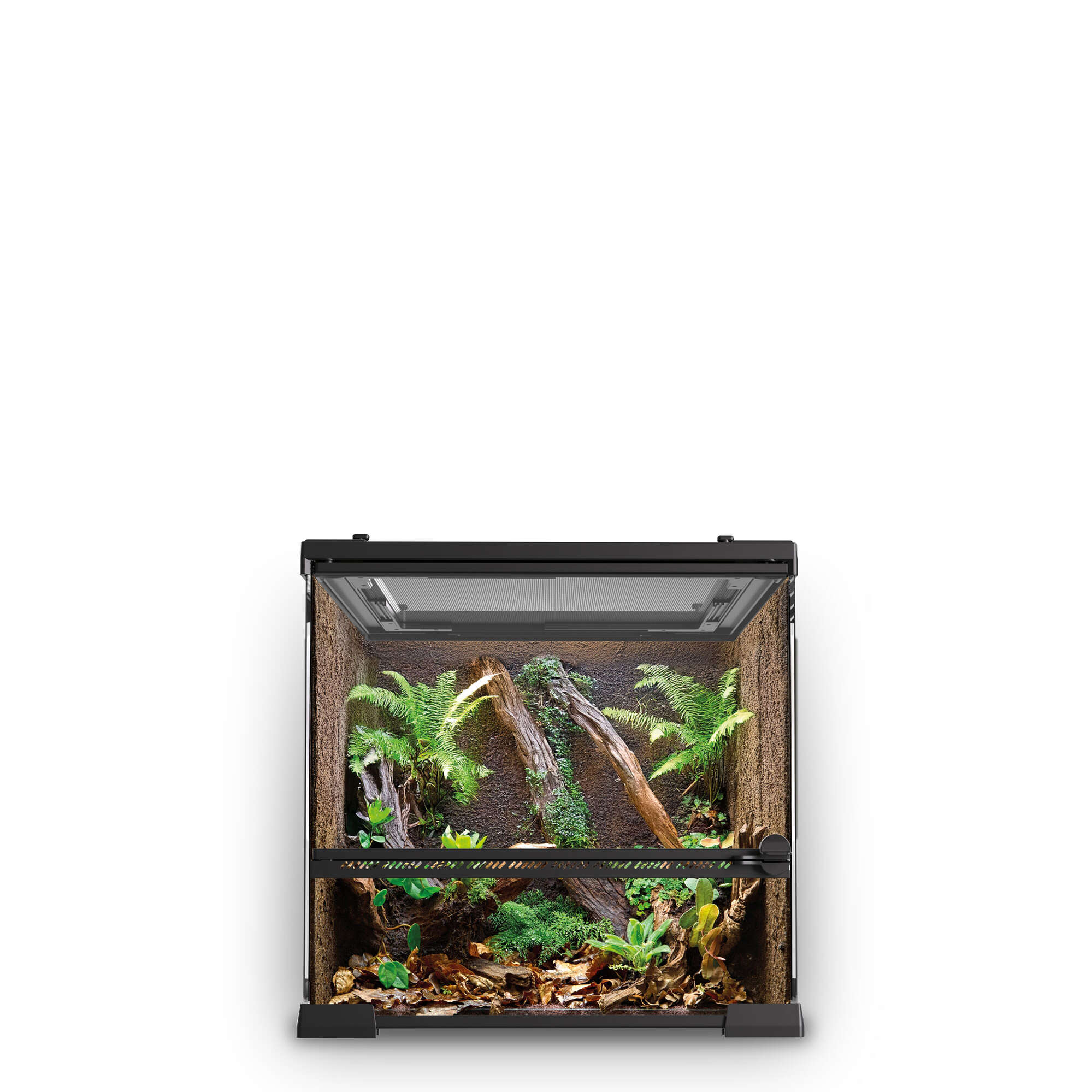 Kit terrario REPTIGLASS