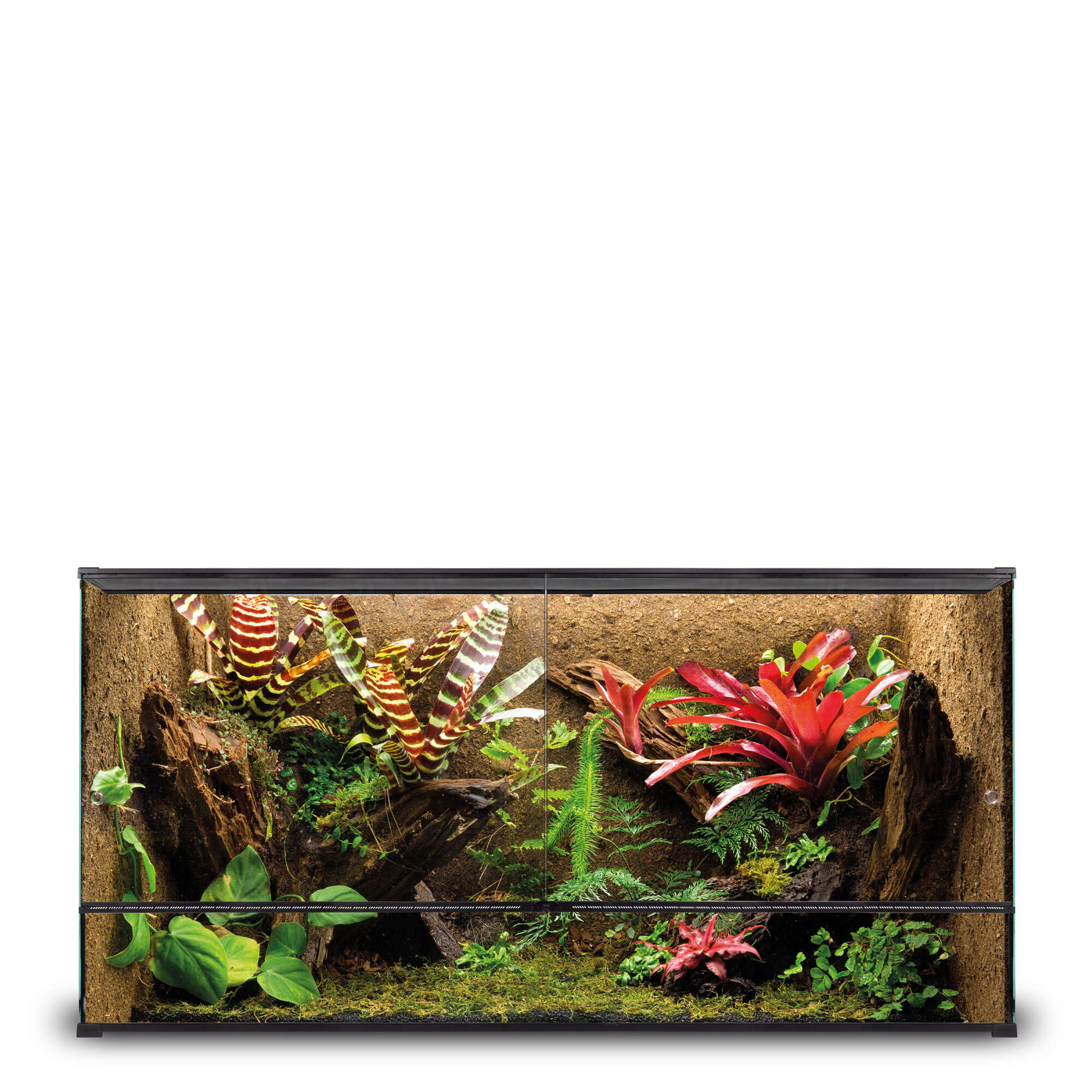Kit terrario REPTIGLASS