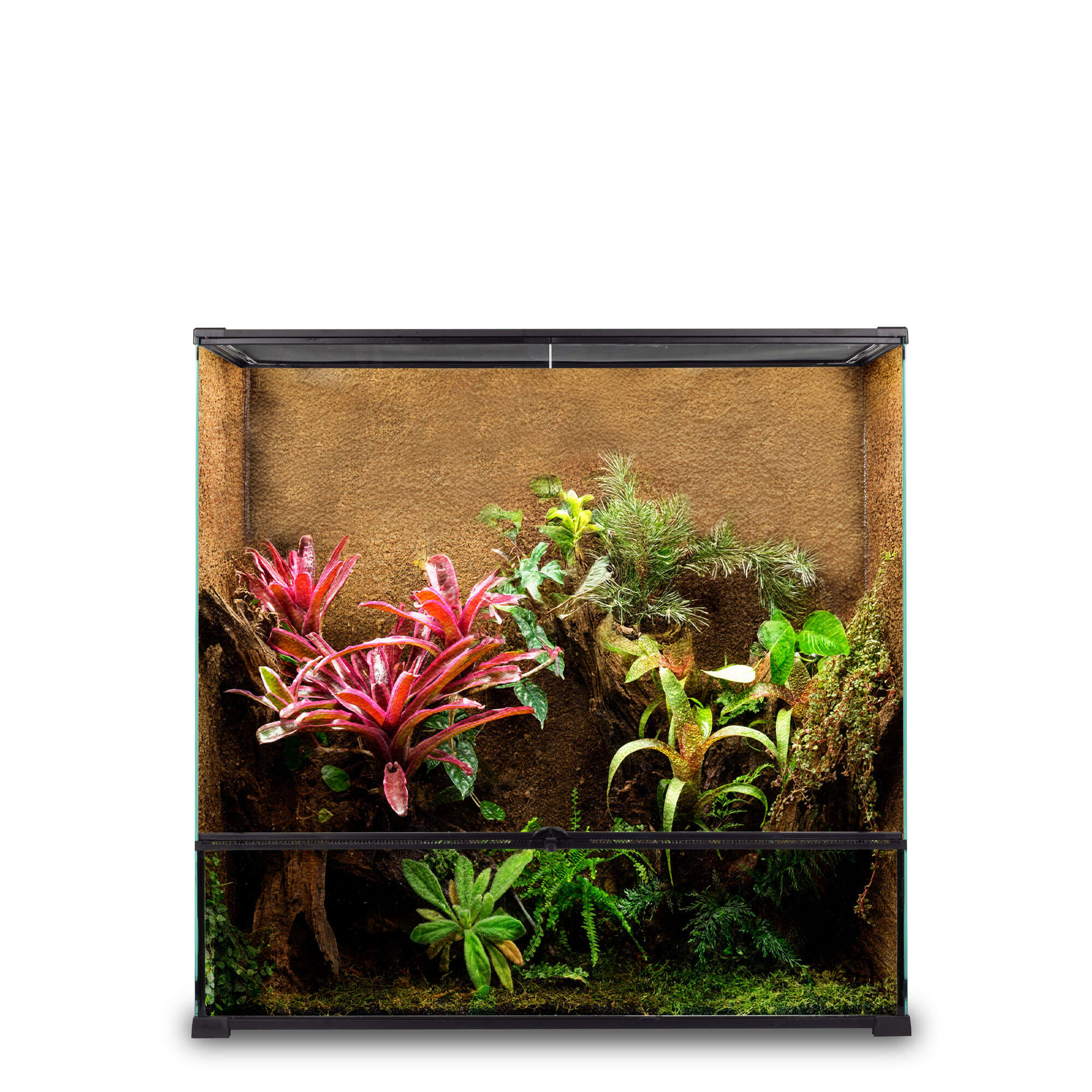 Kit terrario REPTIGLASS