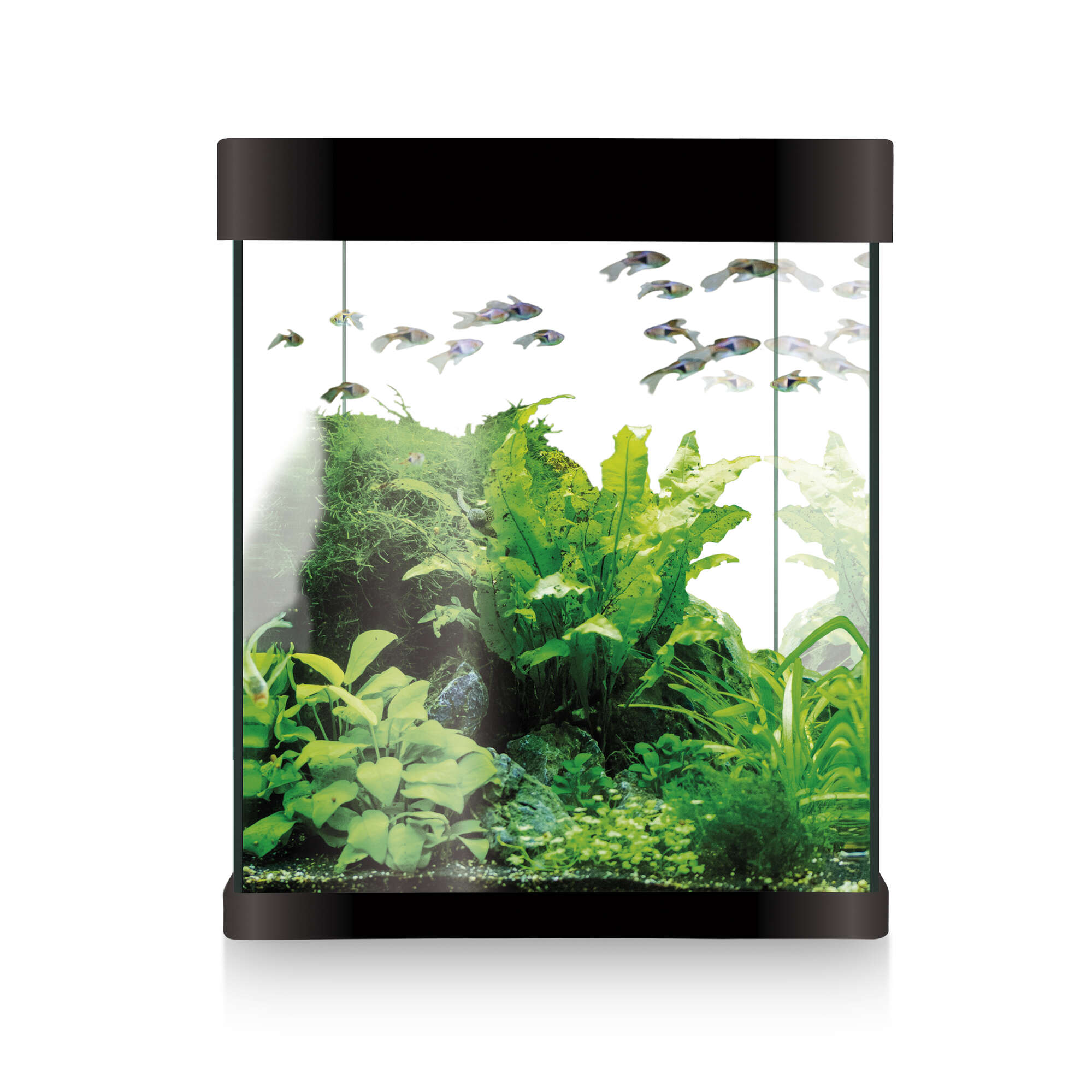 Kit NANO AQUA LED 10 negro