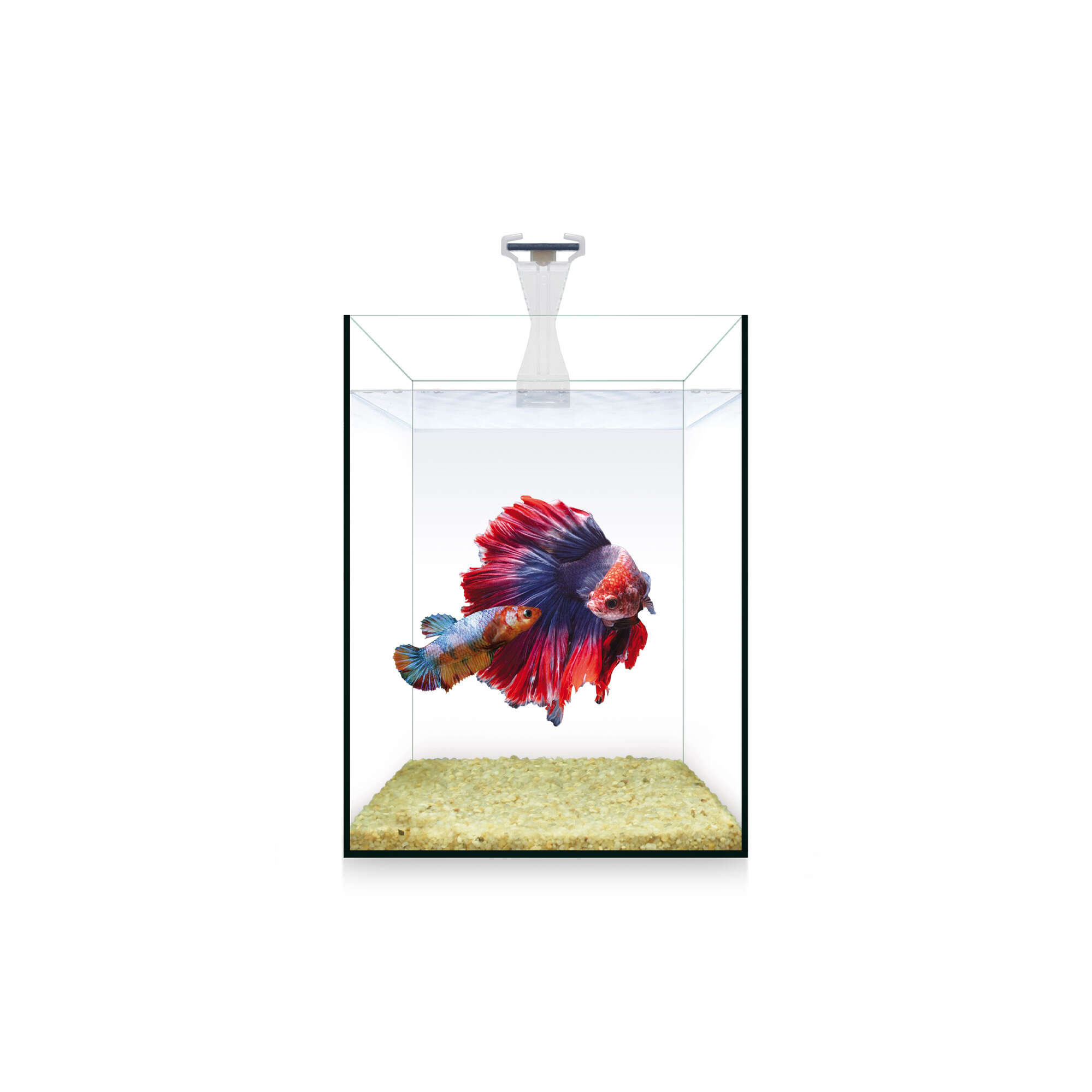 Kit NANO Nature