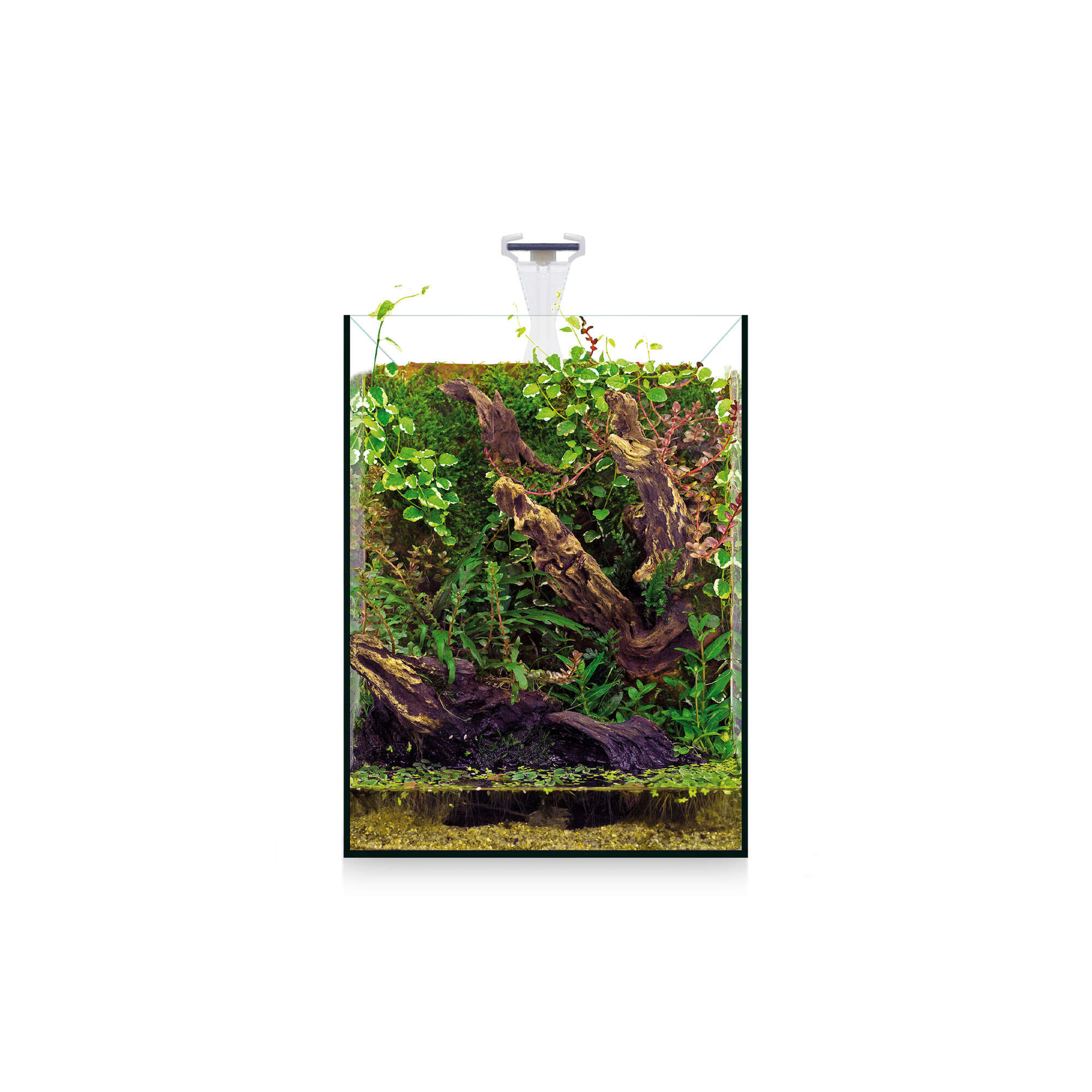 Kit NANO Nature