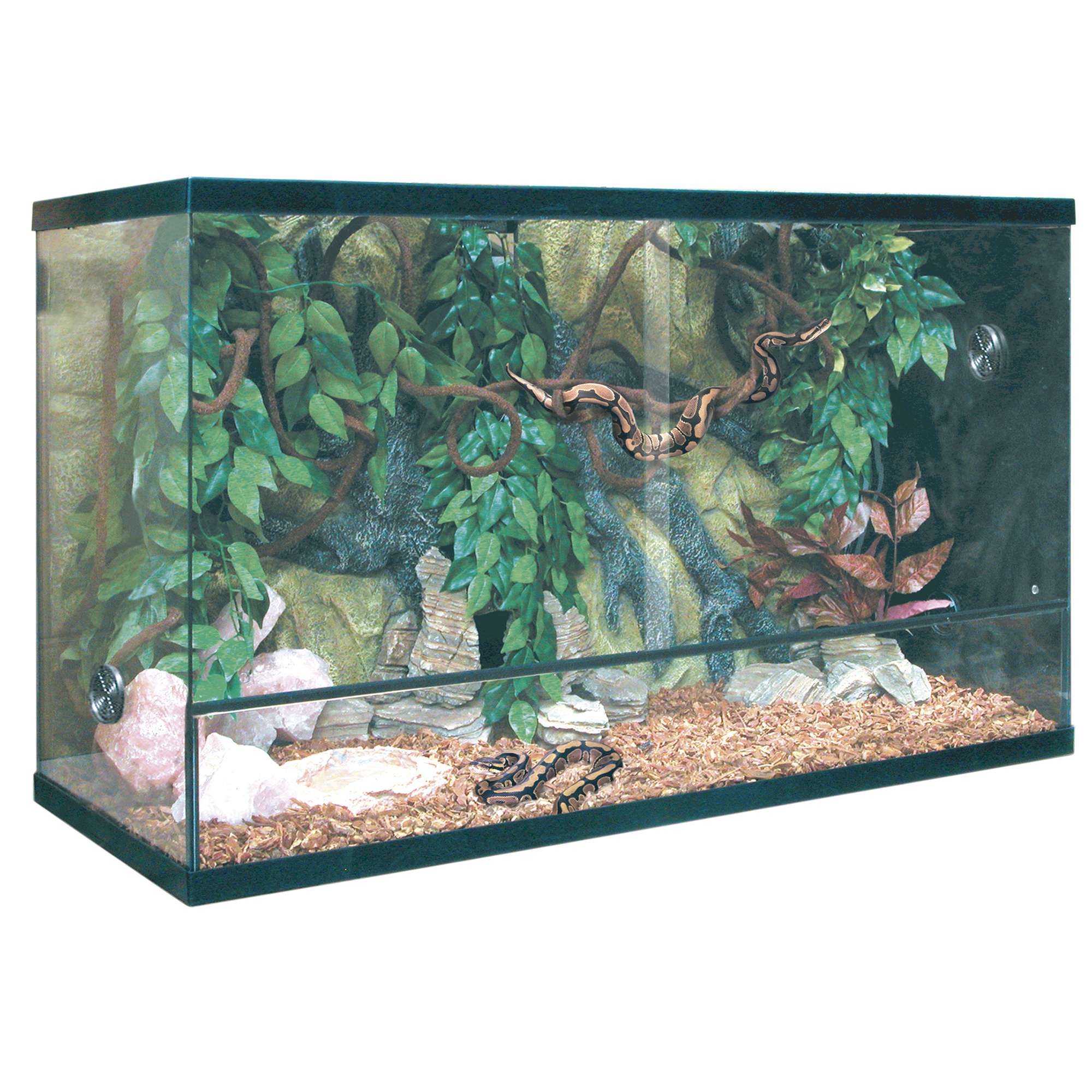 Kit para terrario REPTI-SELVA CRISTAL