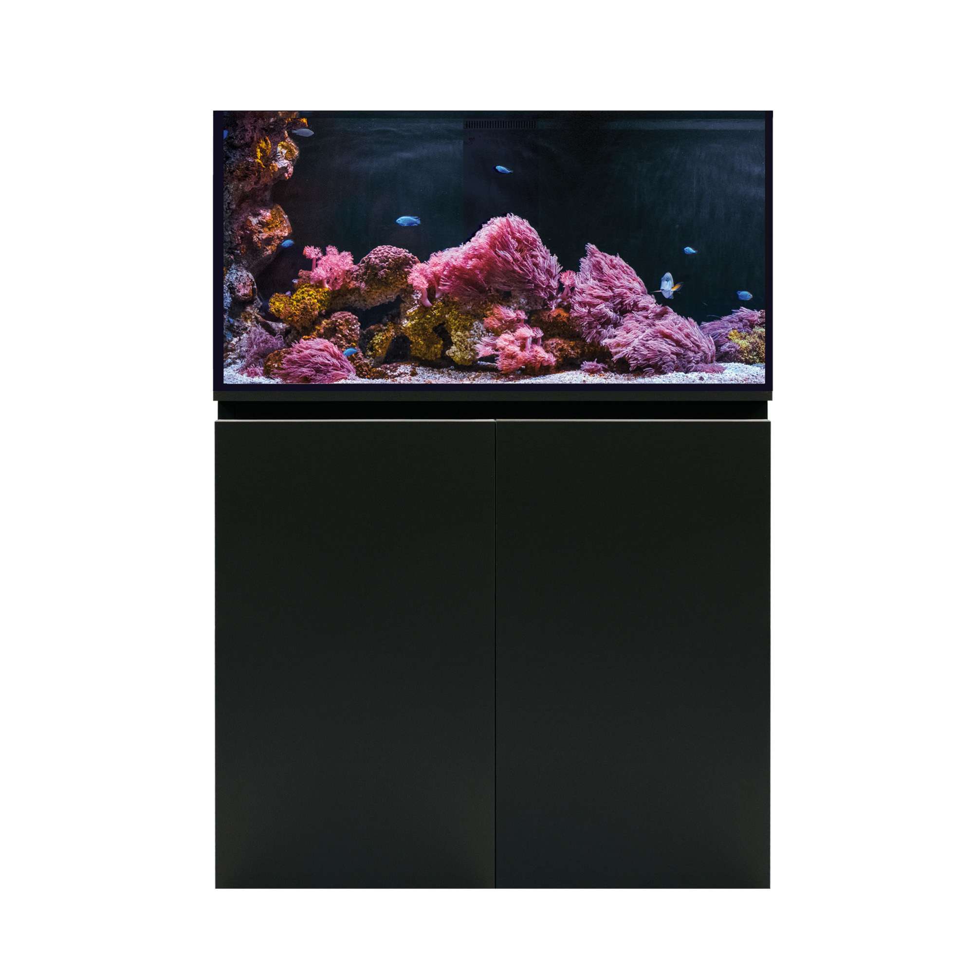 Acuario marino con Sump AQUA OCEAN PRO (sin lámpara)