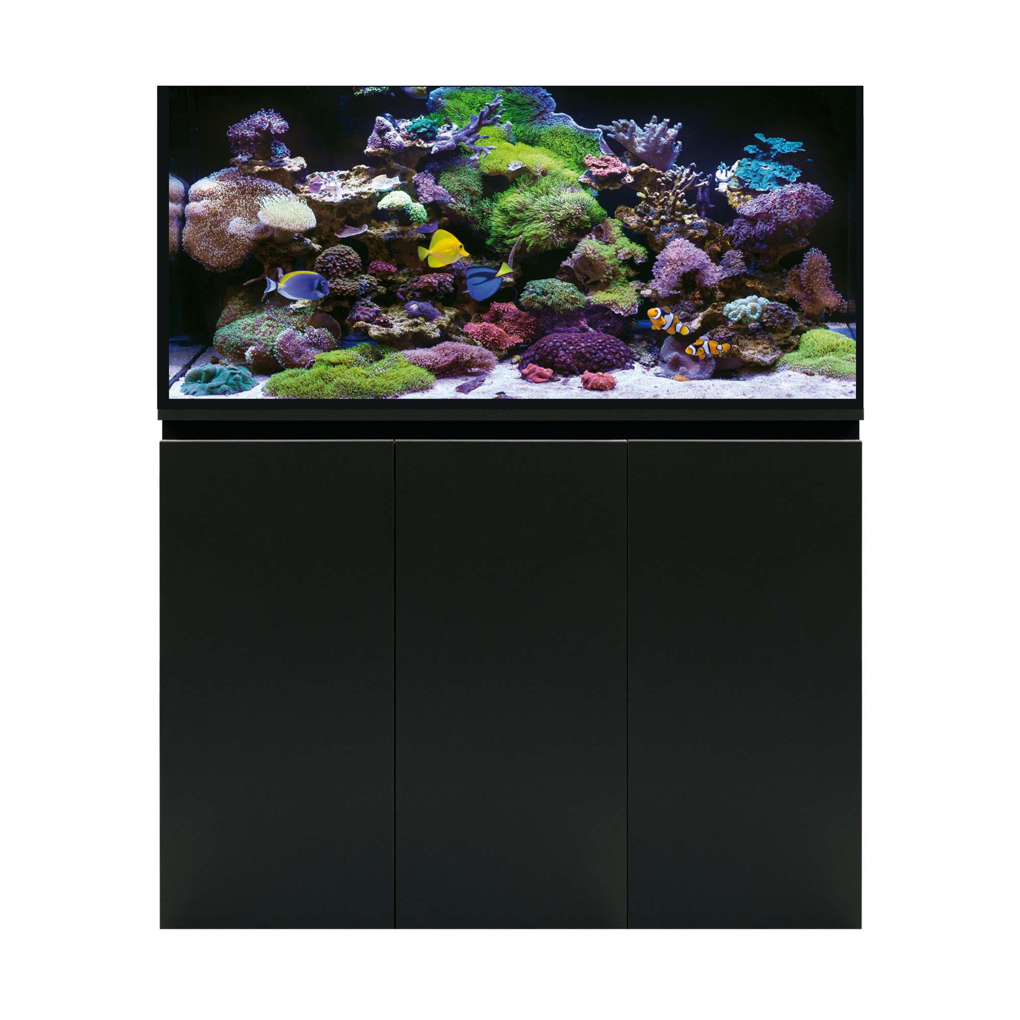 Acuario marino con Sump AQUA OCEAN PRO (sin lámpara)