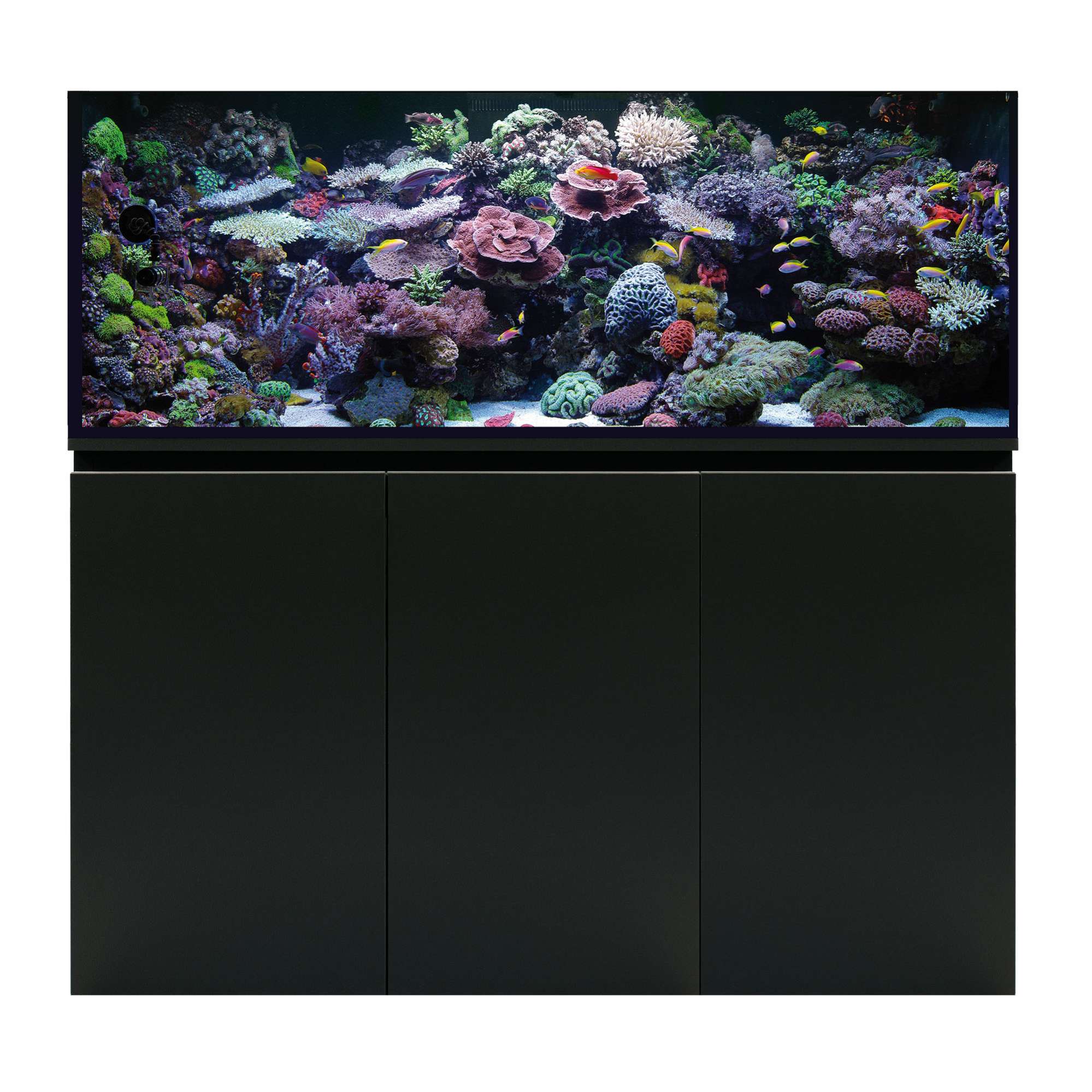 Acuario marino con Sump AQUA OCEAN PRO (sin lámpara)