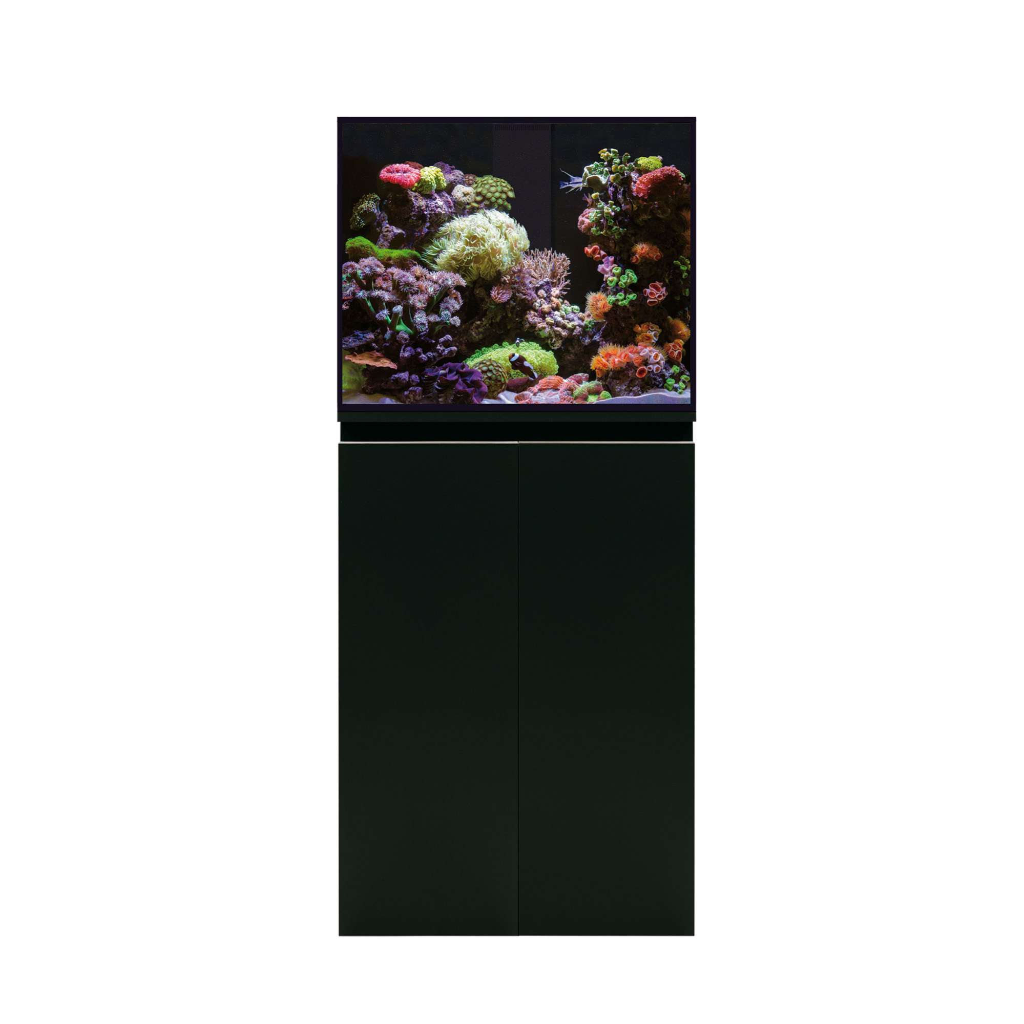 Acuario marino AQUA OCEAN SUMP PRO (sin lámpara)