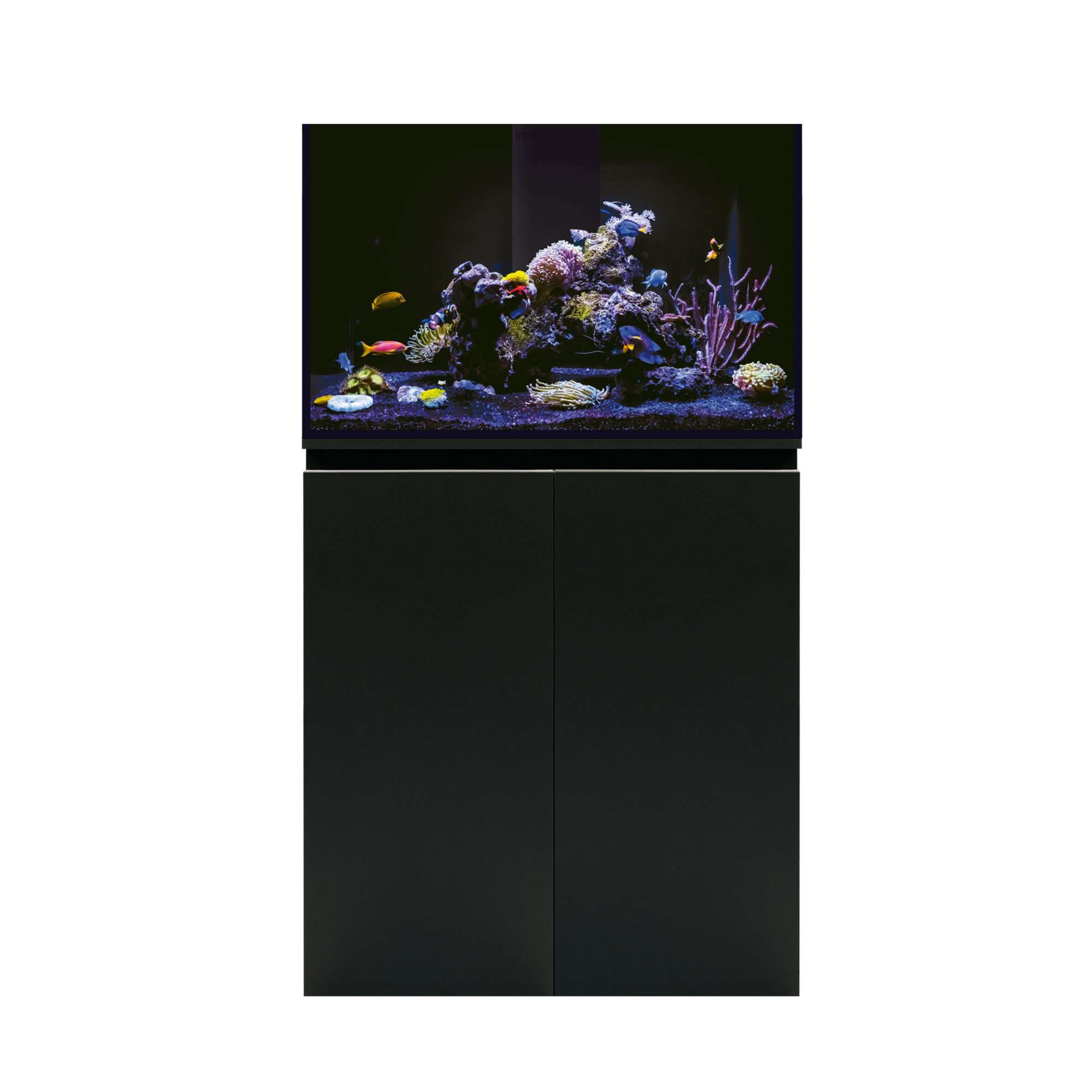 Acuario marino AQUA OCEAN SUMP PRO (sin lámpara)