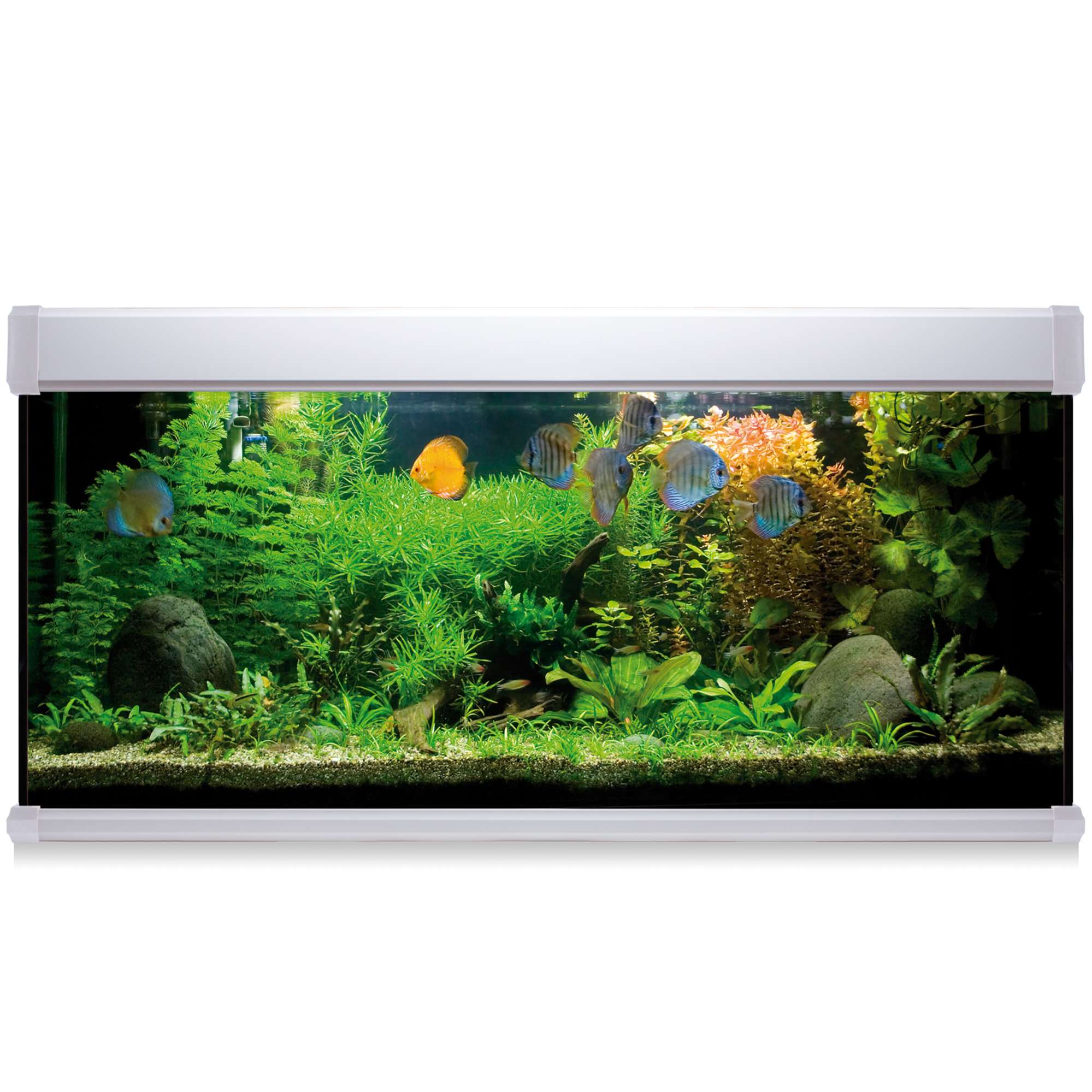 Kit AQUA LUX PRO 240 blanco con filtro exterior