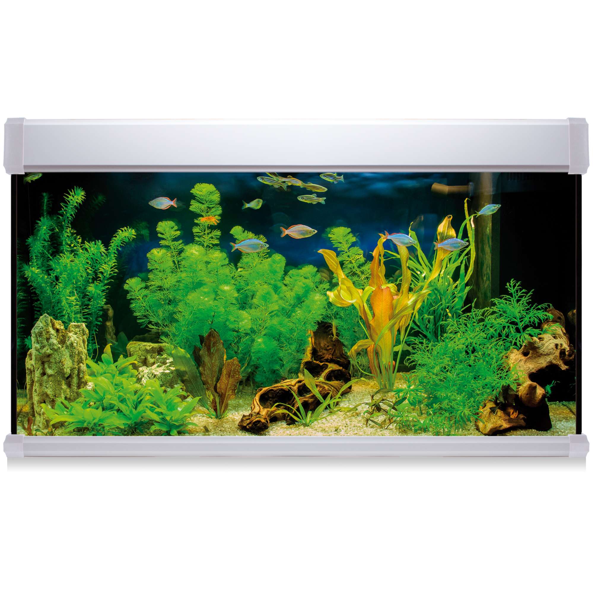 Kit AQUA LUX PRO 300 blanco con filtro exterior