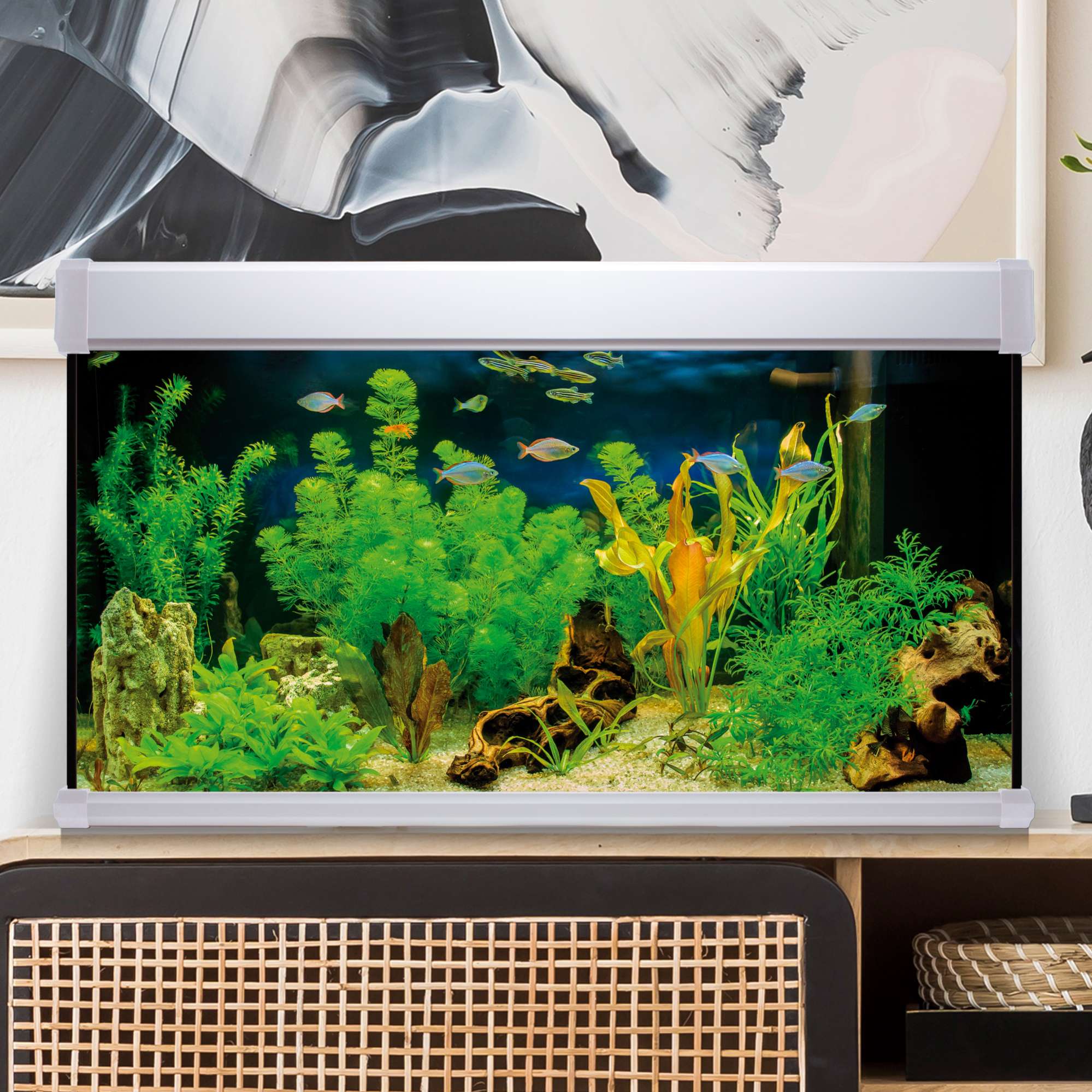 Kit AQUA LUX PRO 300 blanco con filtro exterior