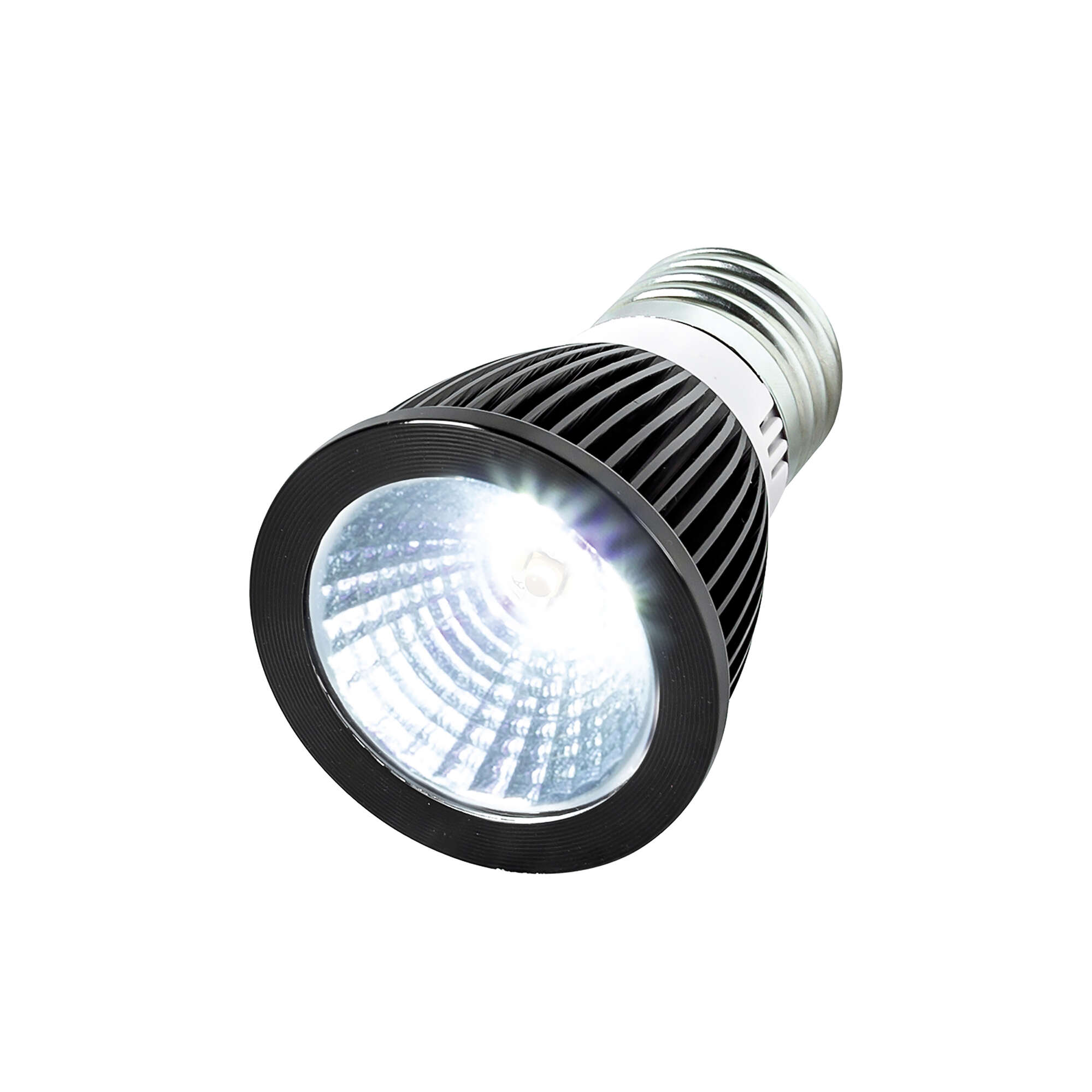 Mini bombilla LED ultravioleta 5.0 REPTIZOO