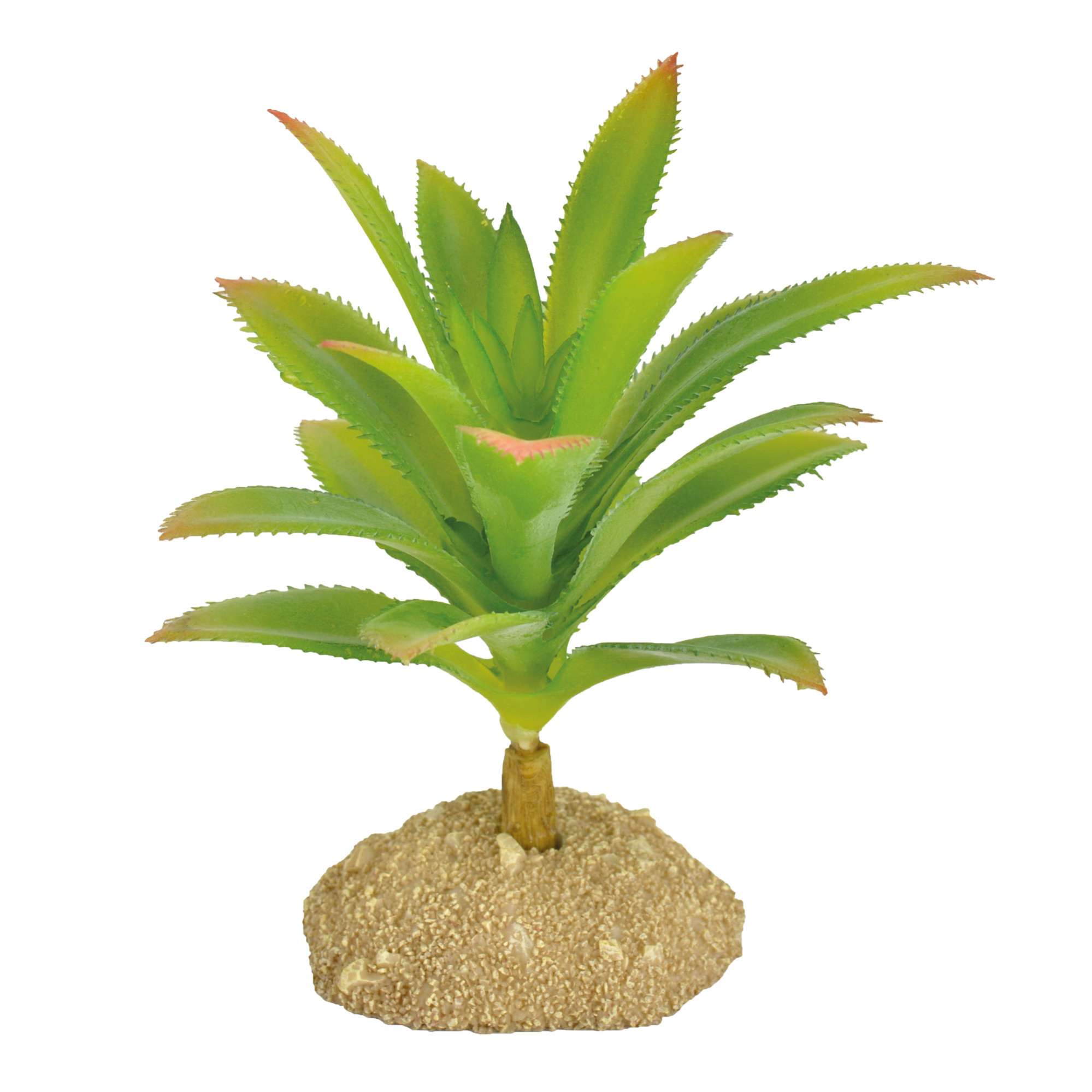 Ornamento aloe con espinas REPTI-SELVA