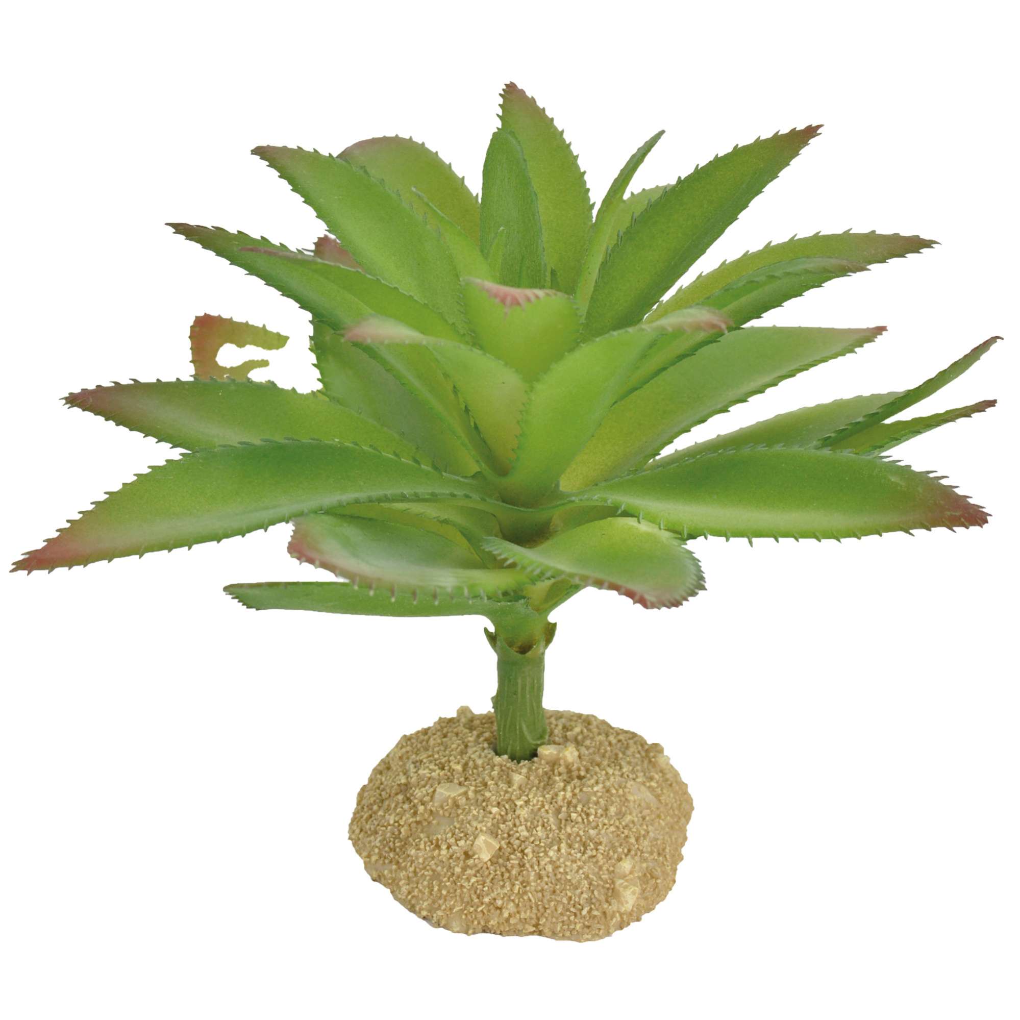 Ornamento aloe con espinas REPTI-SELVA