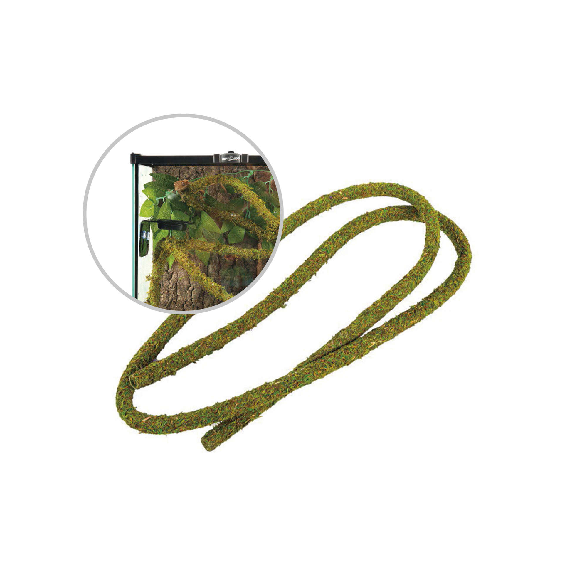 Liana tropical con musgo REPTIZOO