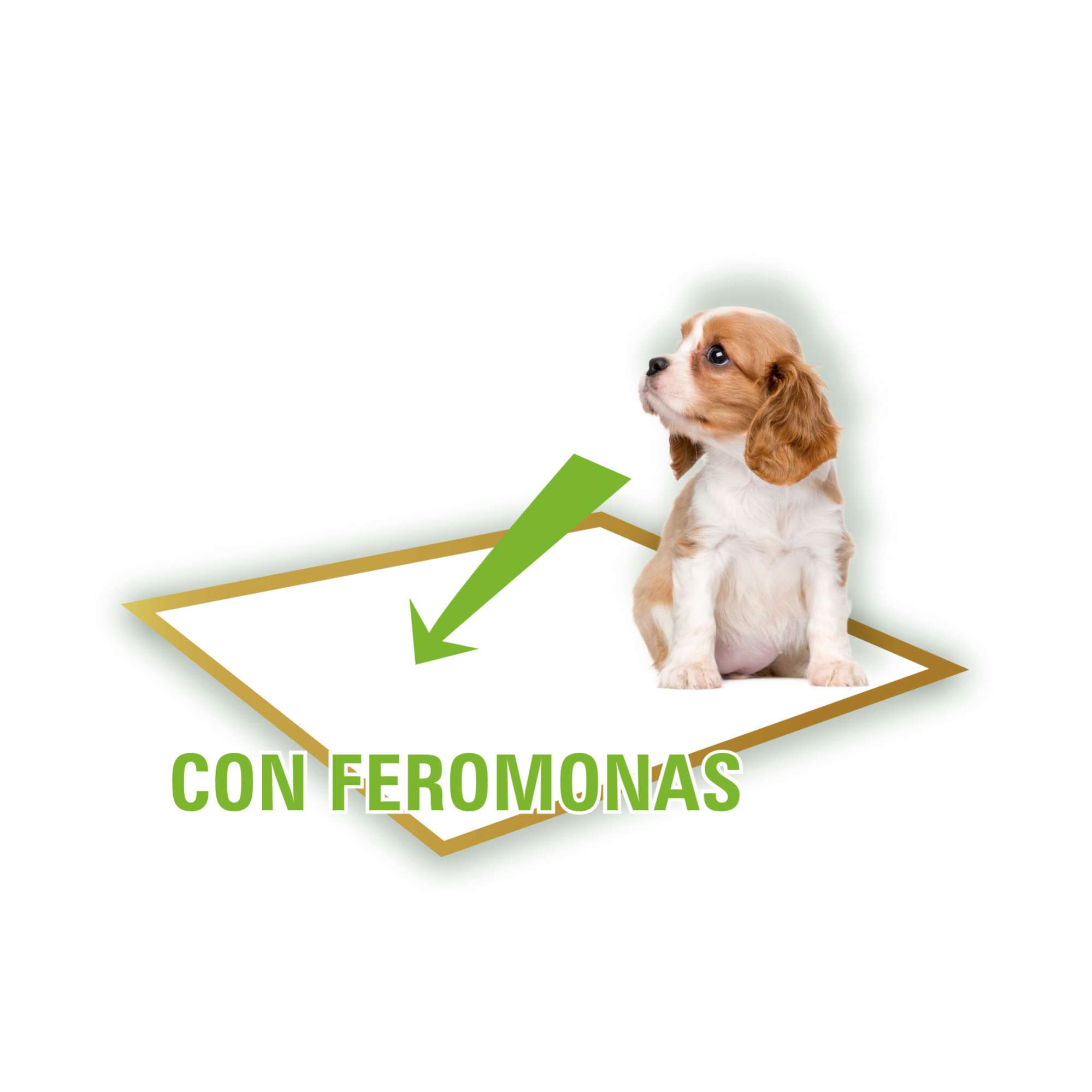 Paños de adiestramiento Bambú Puppy Pads