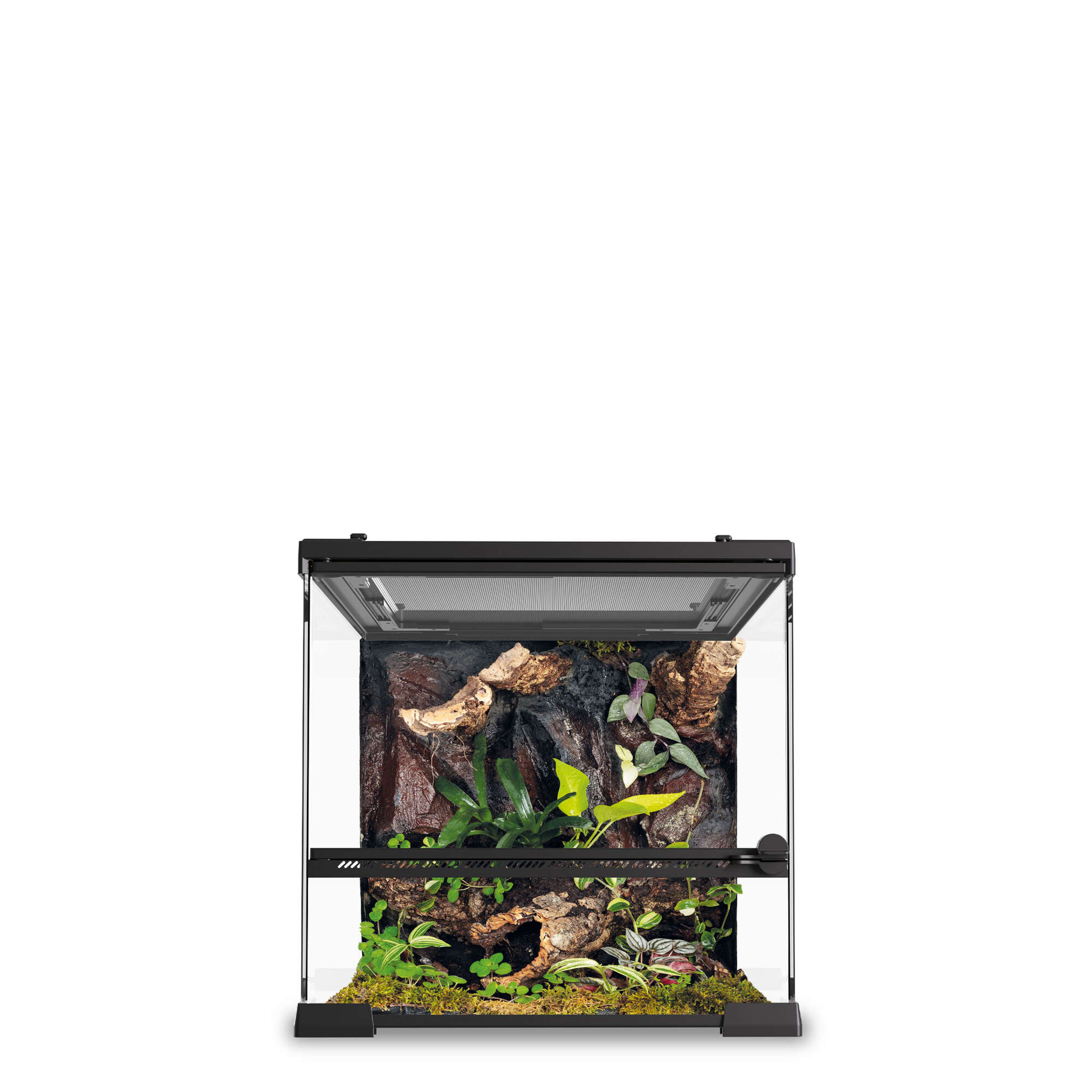 Terrario REPTIGLASS