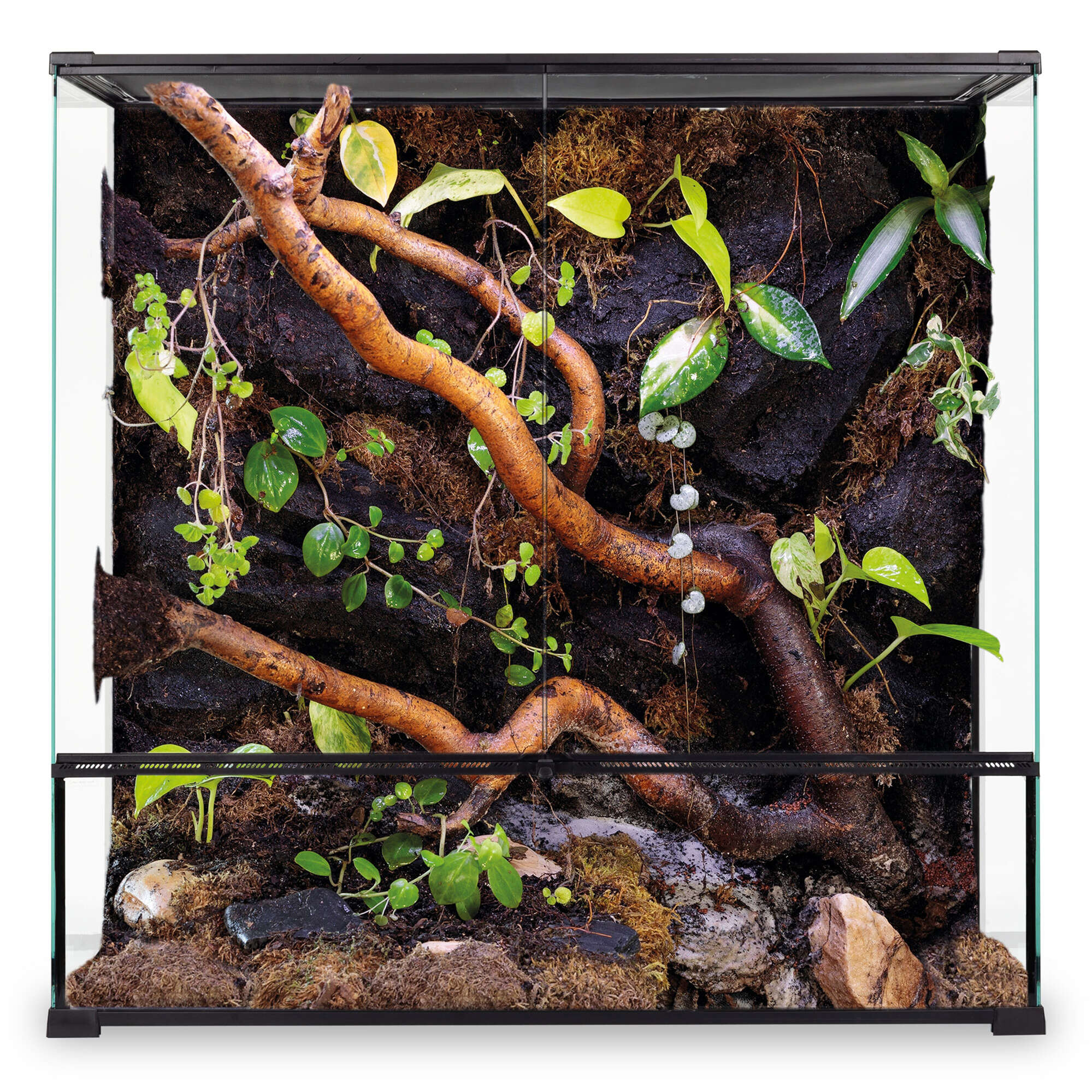 Terrario REPTIGLASS