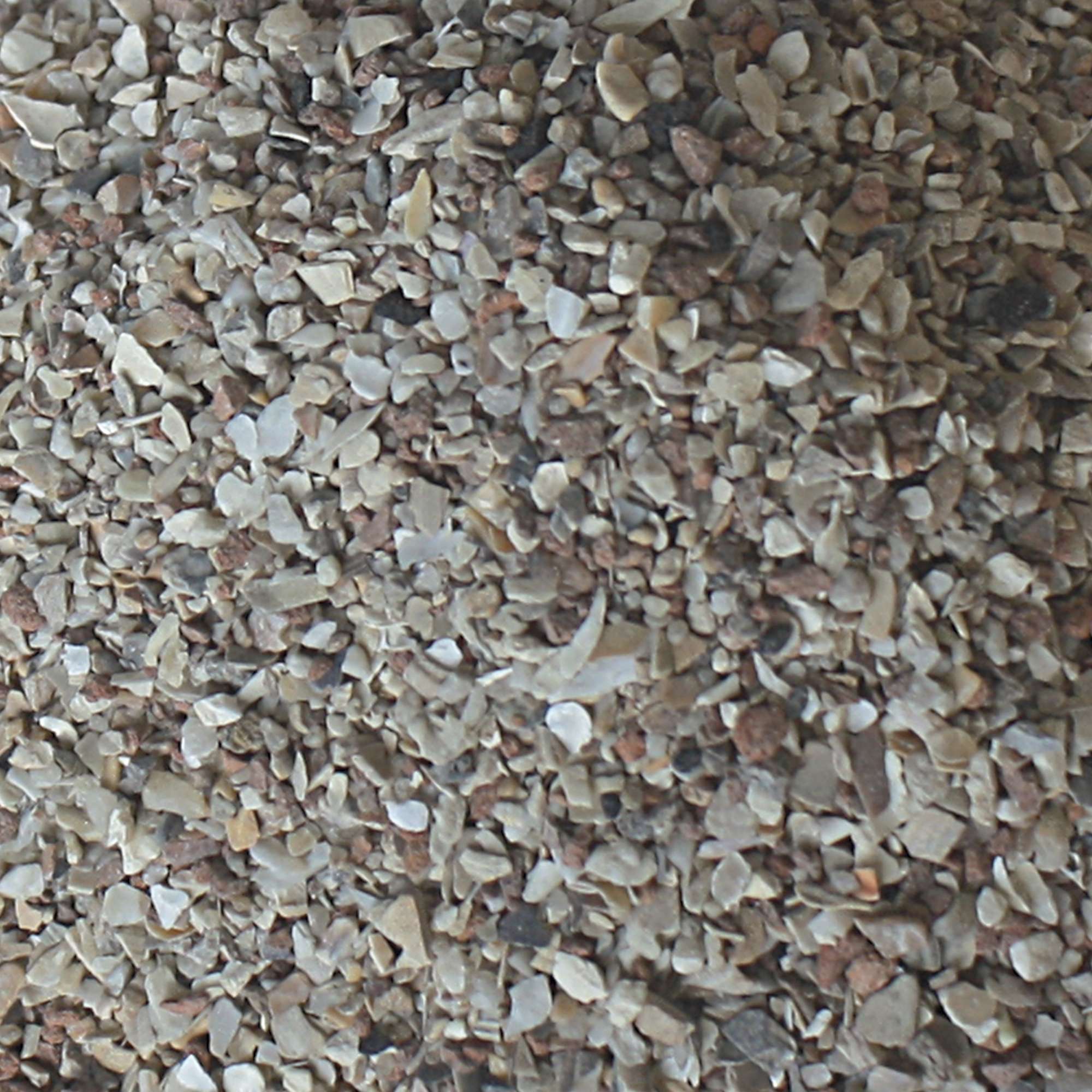 Grit de ostras Vit Pro Delicatessen