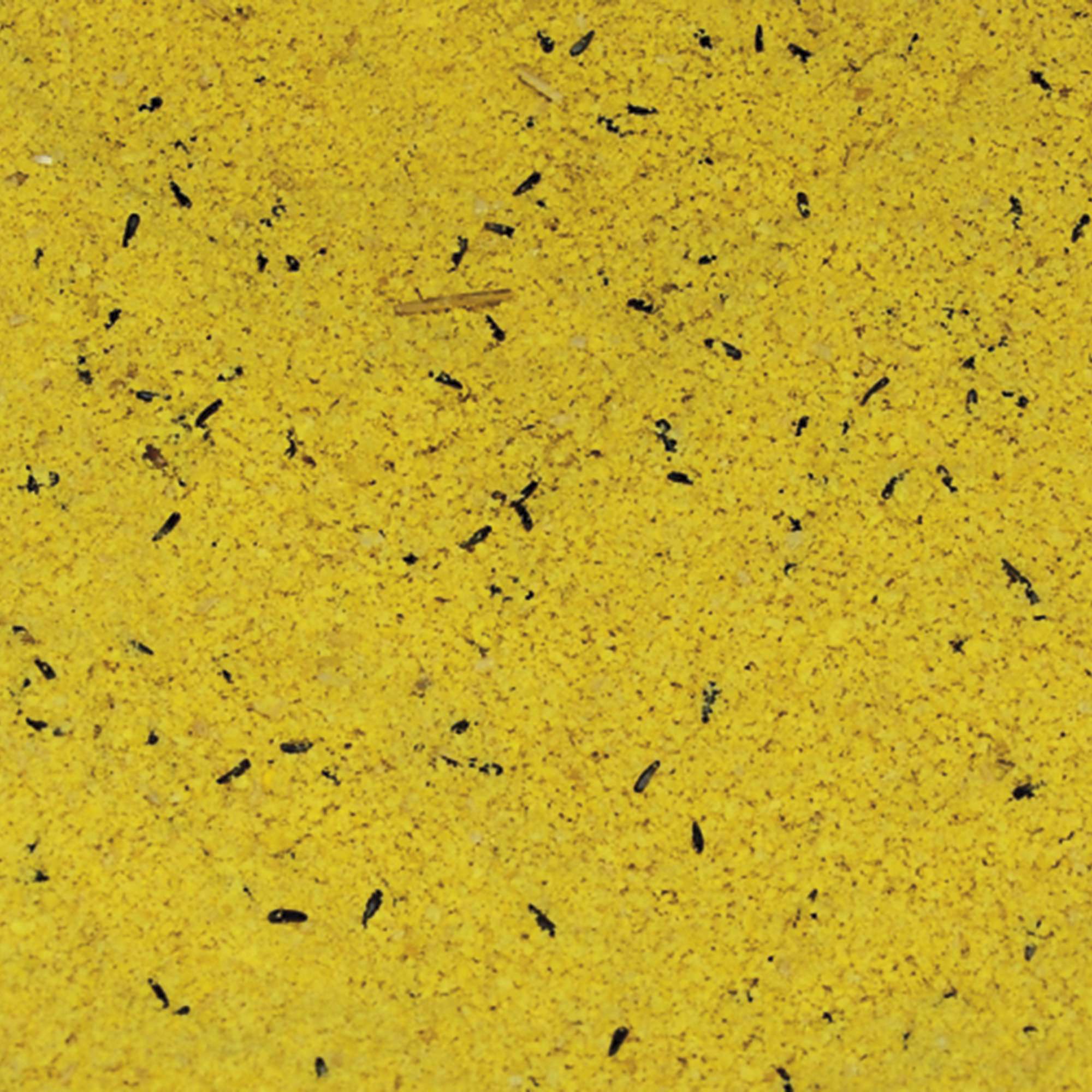 Pasta de cría amarilla Vit Pro Delicatessen en bolsa