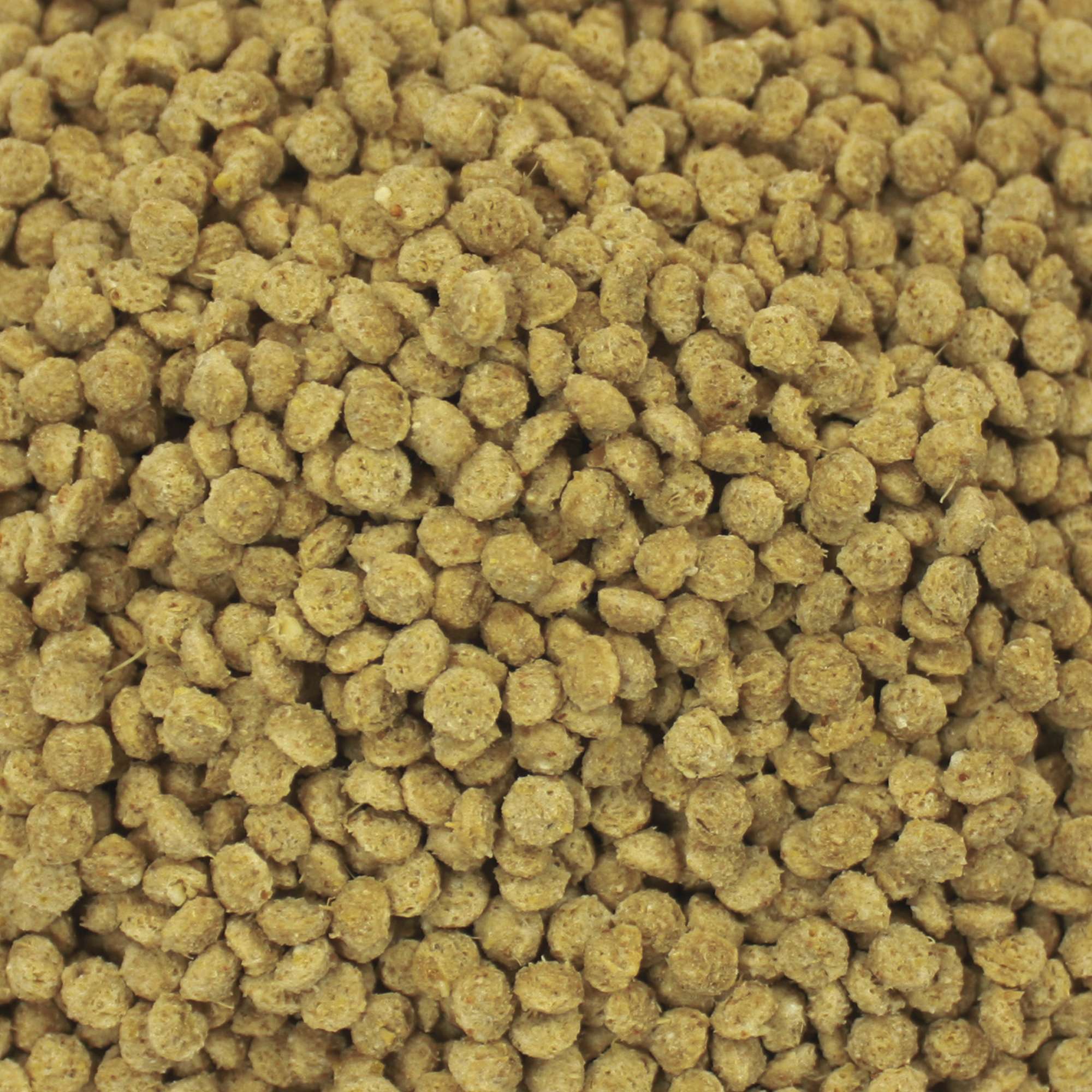 Alimento para loros Vit Pro en bolsa