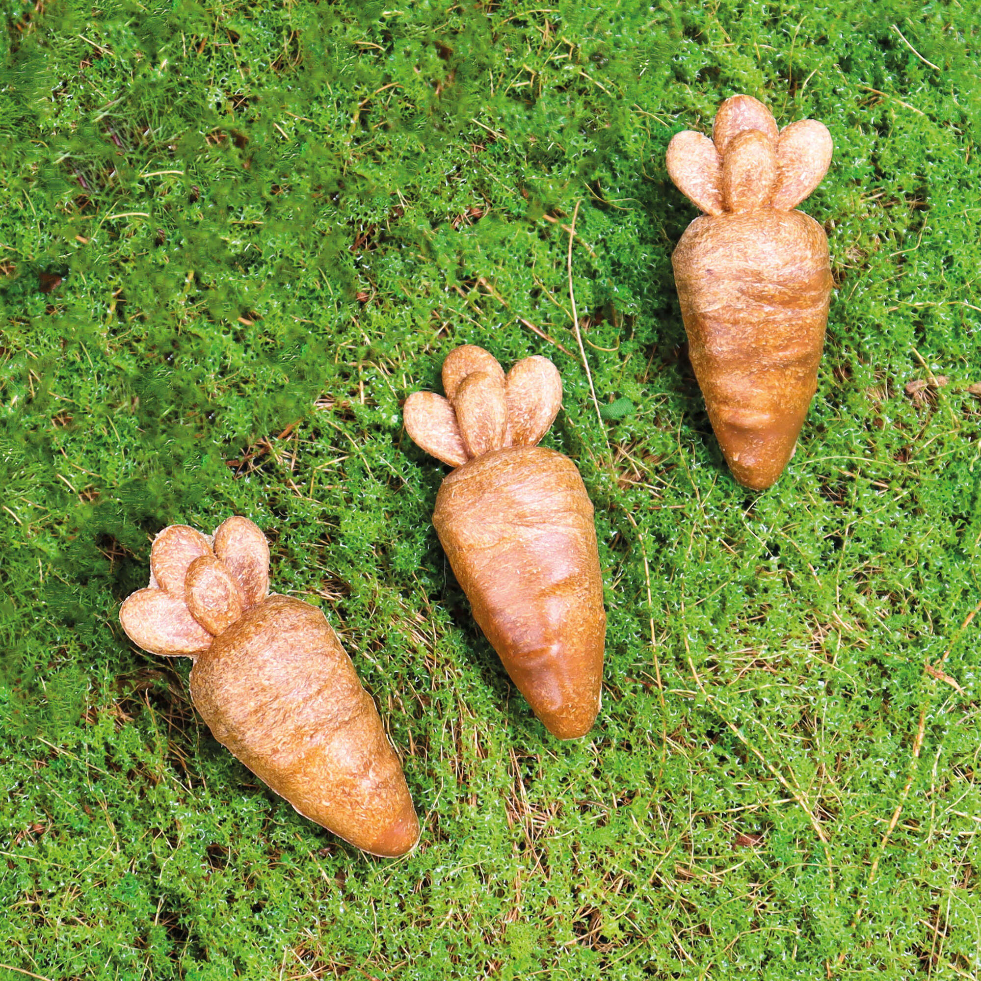 Snack zanahorias Vit Pro