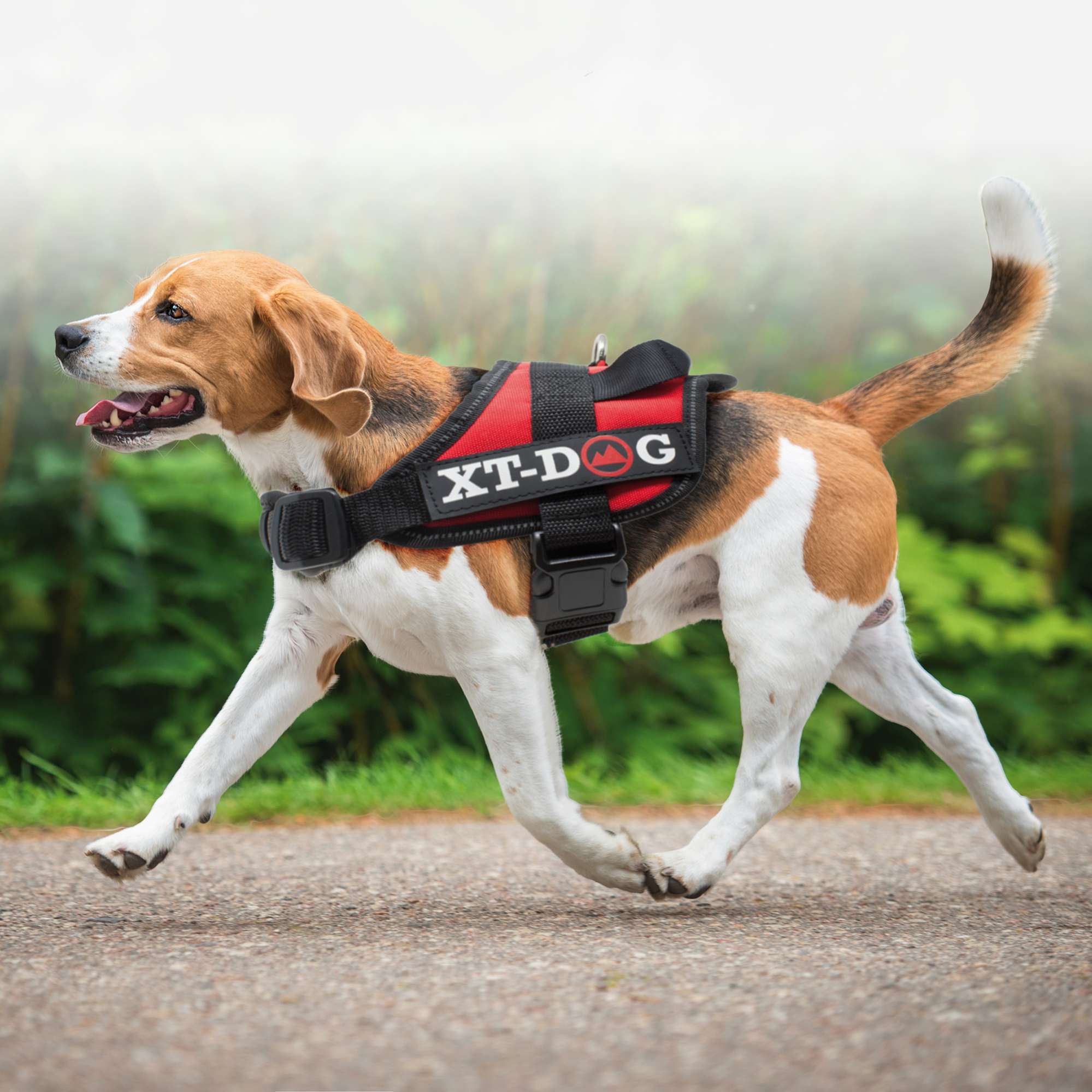 Arnés de seguridad rojo XT-DOG