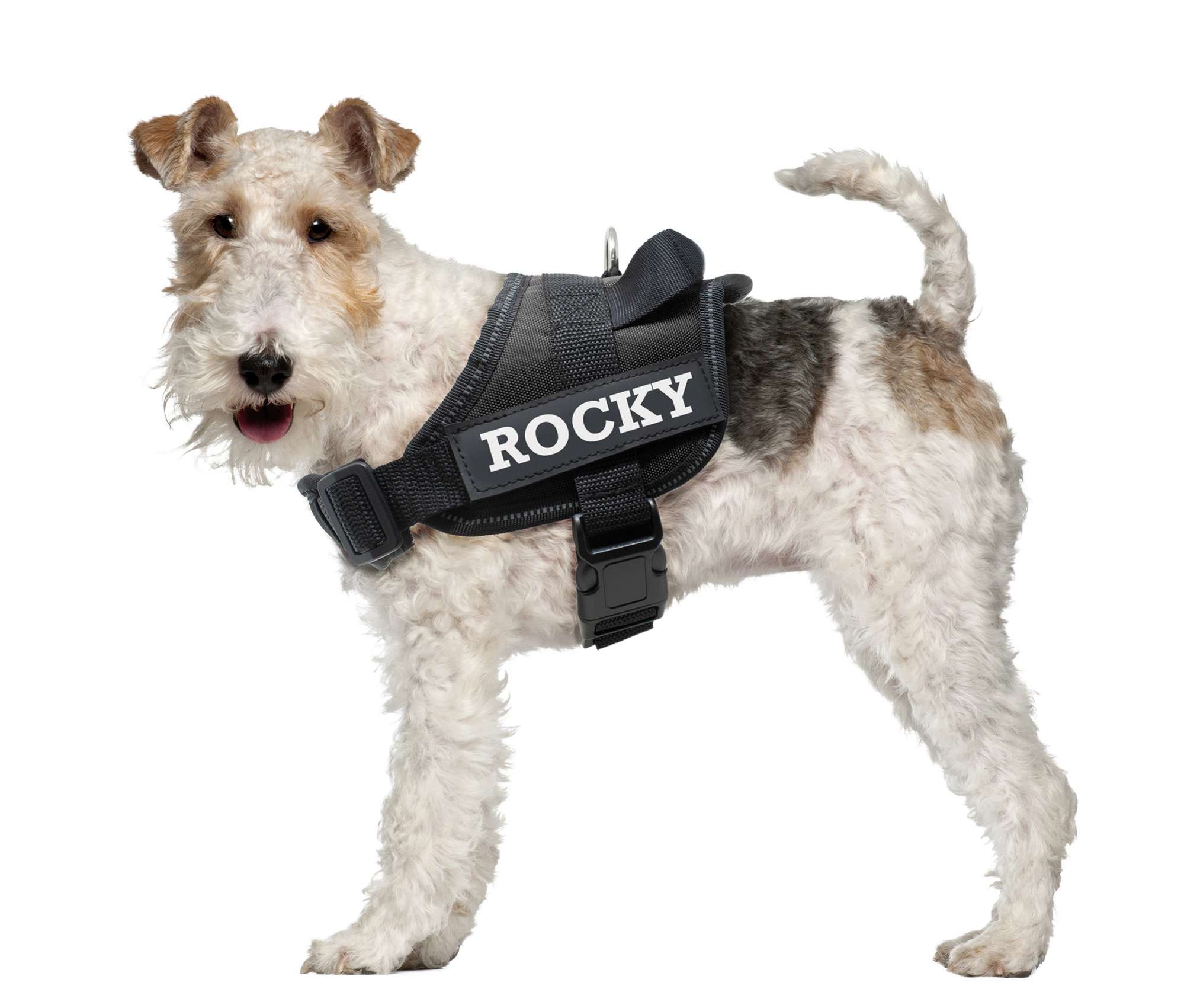Bandas personalizables arnés de seguridad XT-DOG