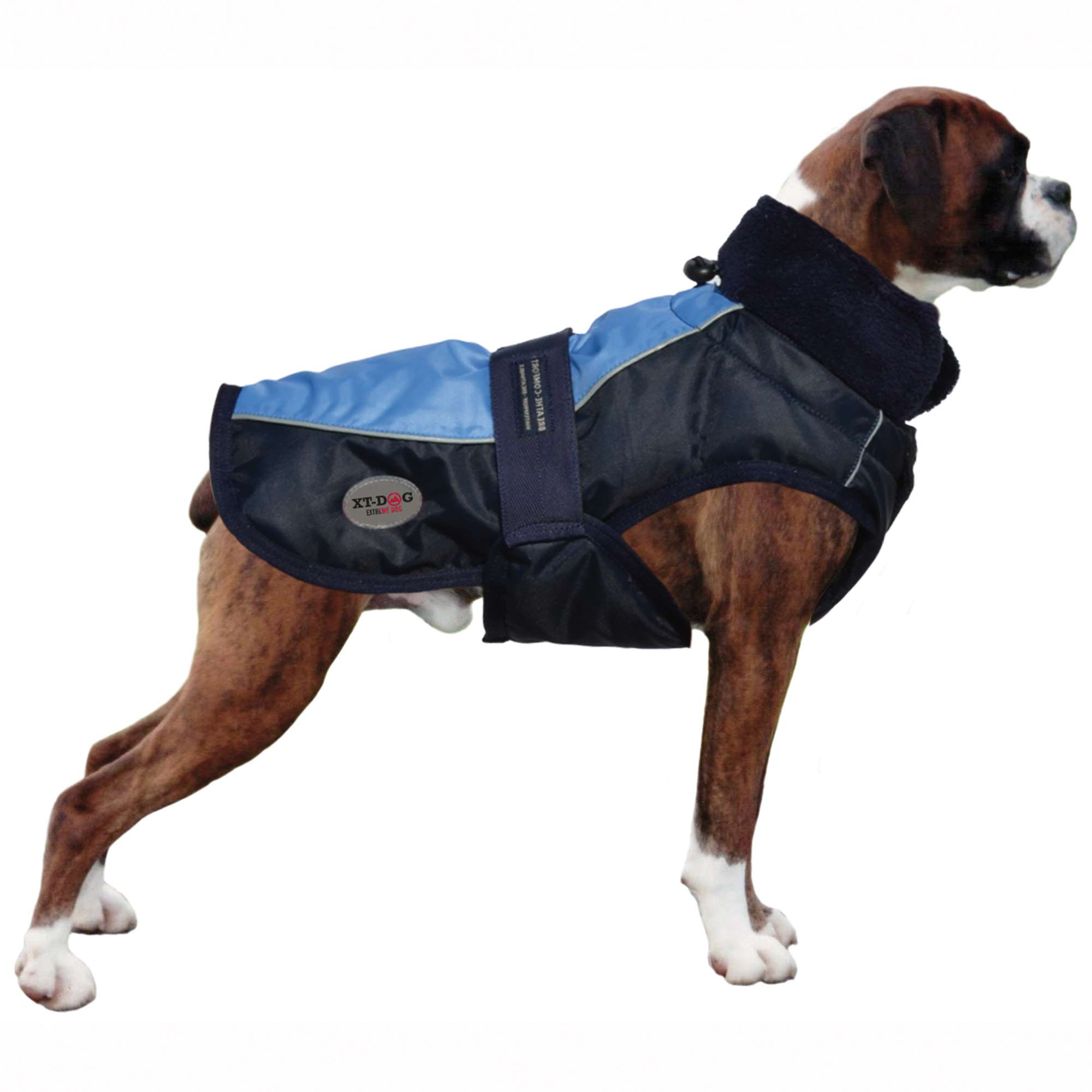 Abrigo Sport azul XT-DOG