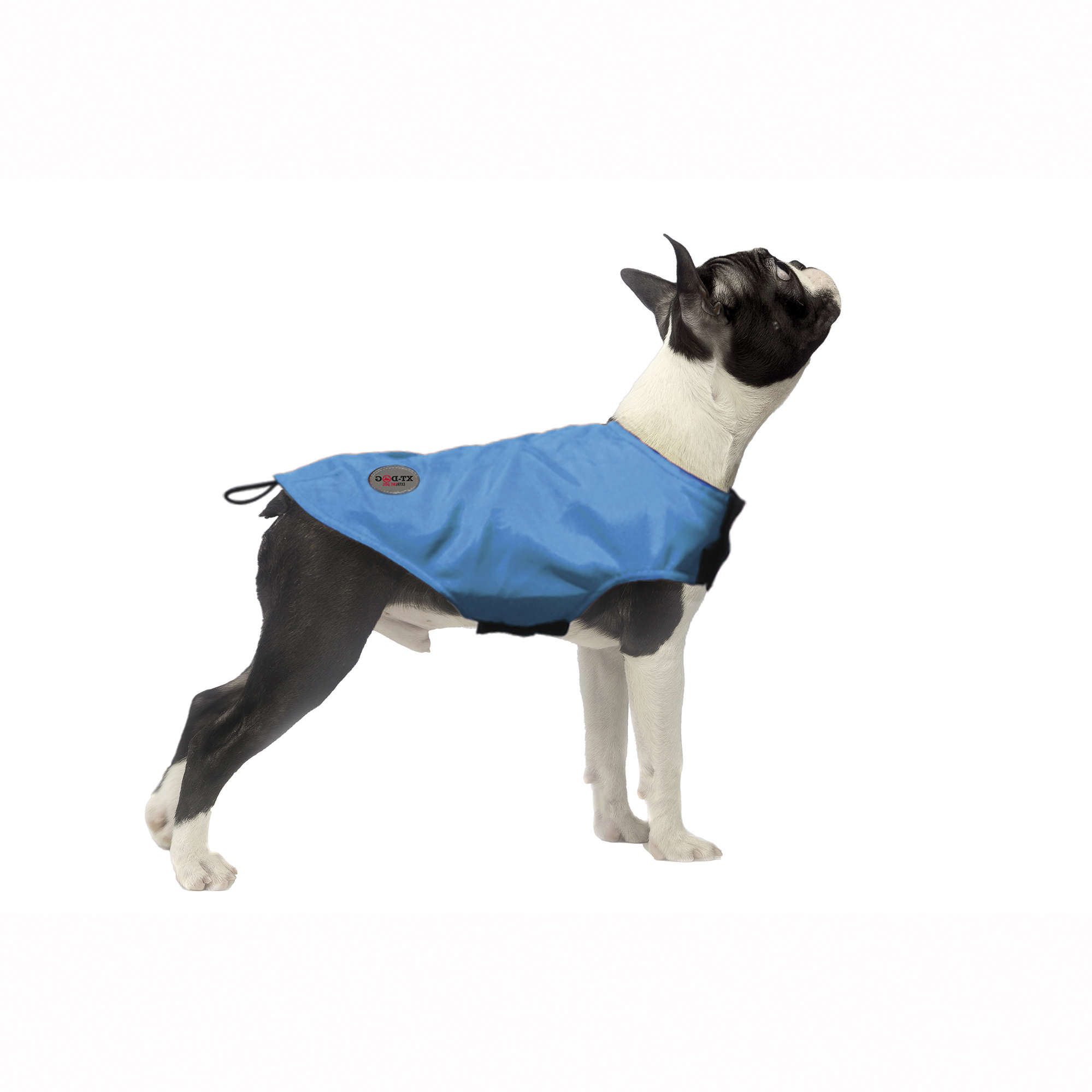 Abrigo Rain celeste XT-DOG