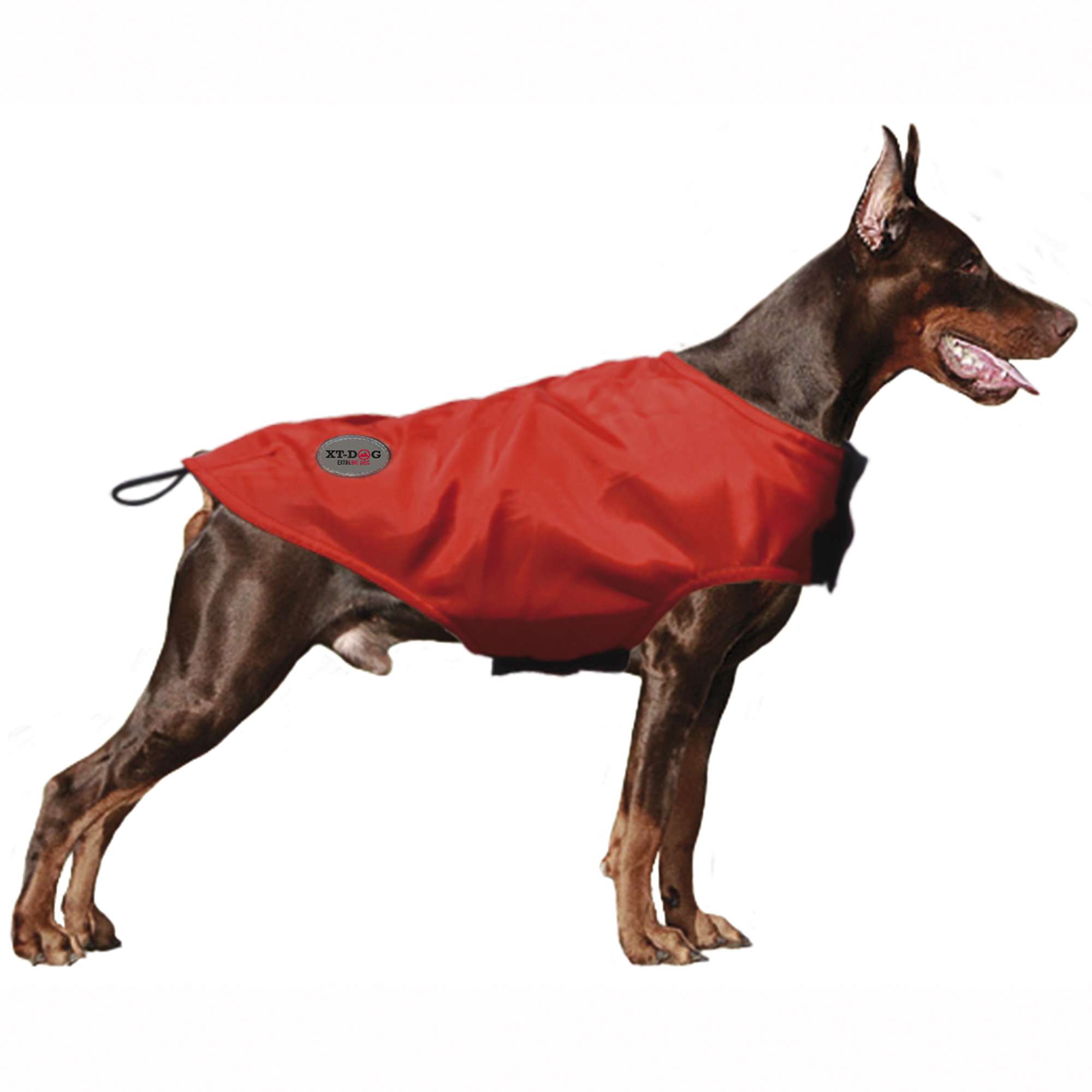 Abrigo Rain rojo XT-DOG